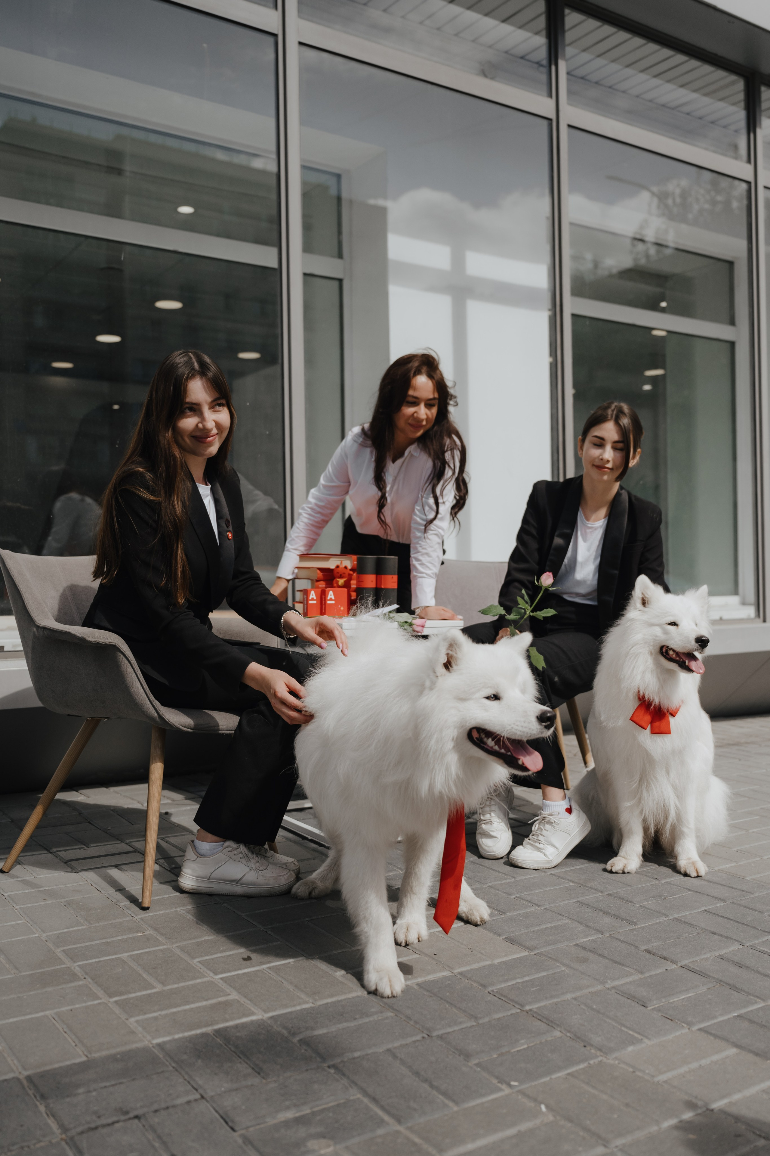 Альфа банк Карла Маркса 55. Фотограф Кристина Тумаева. Самоед Новосибирск