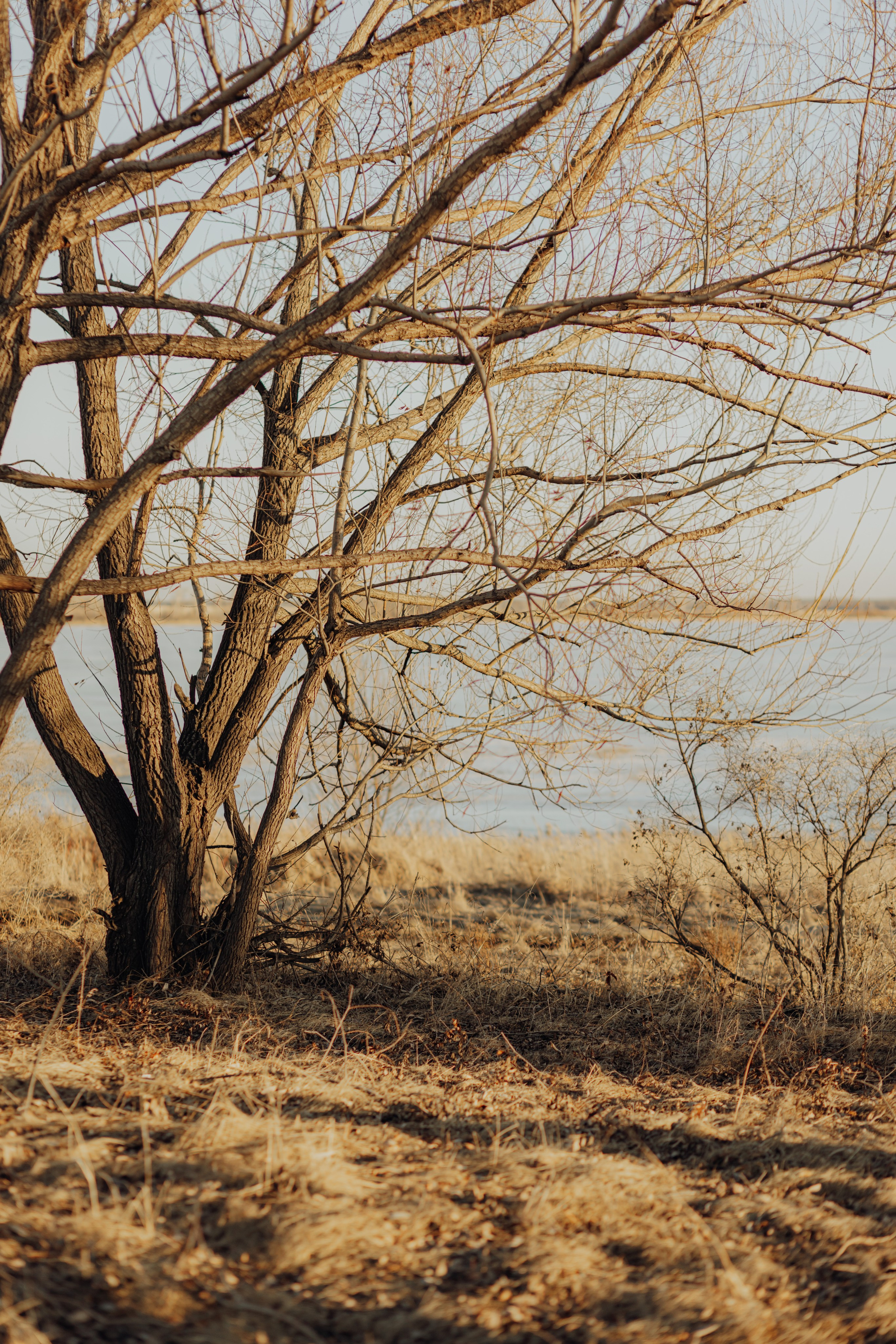 Прогулочная съемка 2024-2025. Семейный фотограф в Челябинске Альмира Шахова