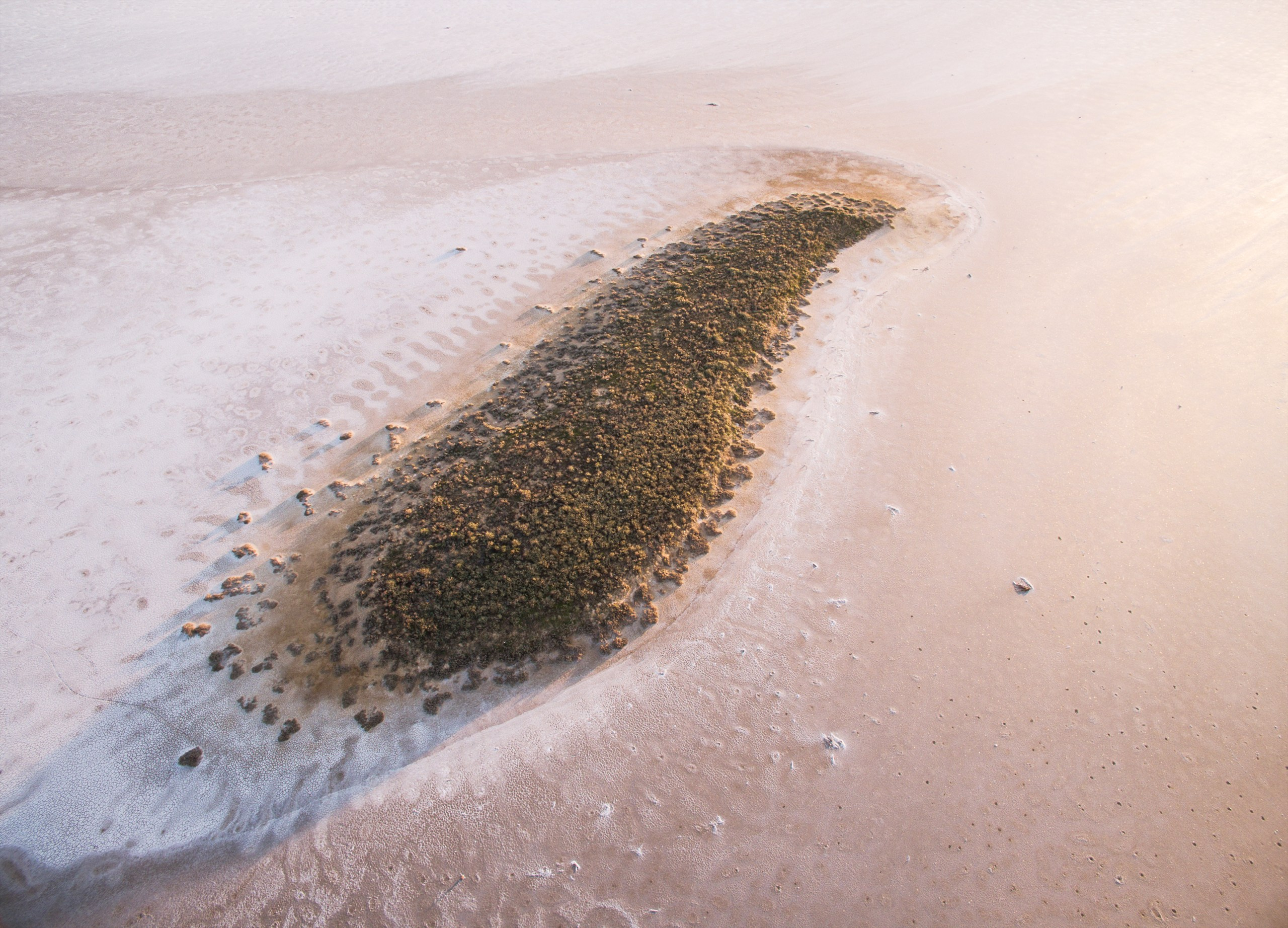 Озеро Эльтон. Фотограф Владимир Медведев