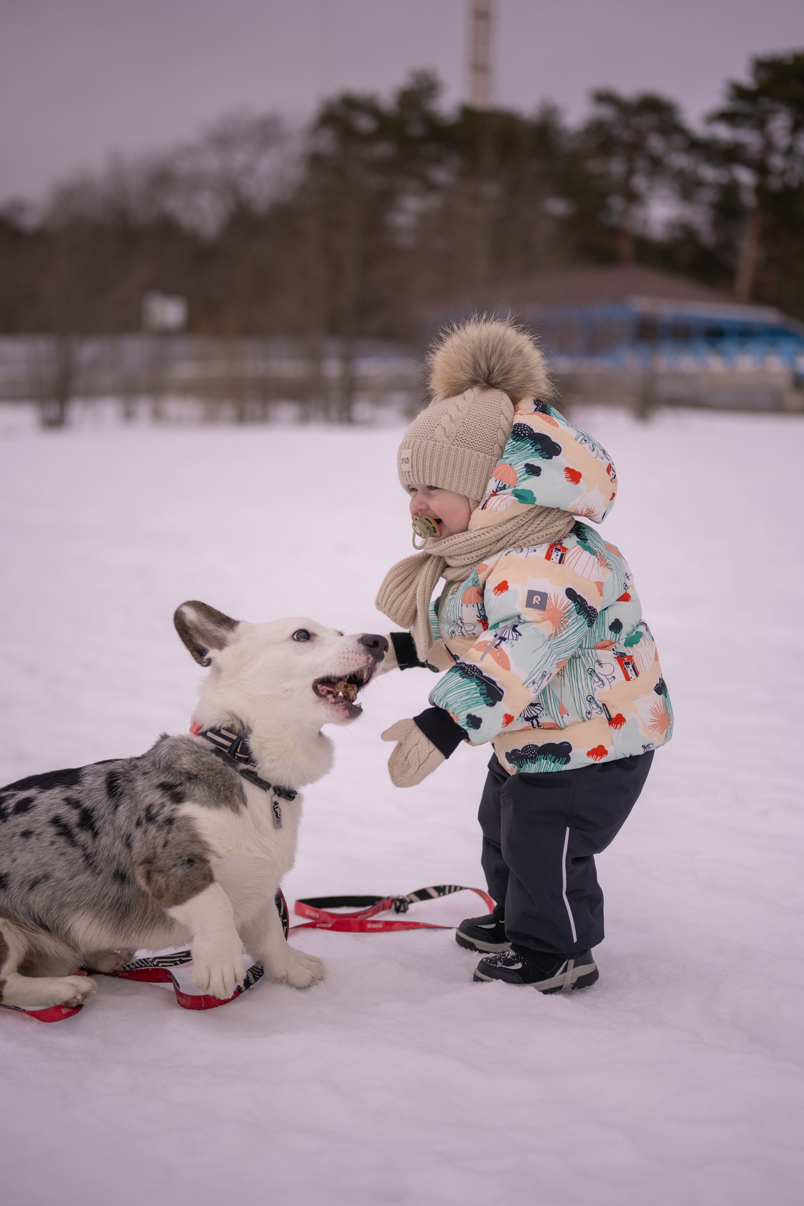 Семейные съемки. Фотограф в Санкт-Петербурге Александра Ладыгина