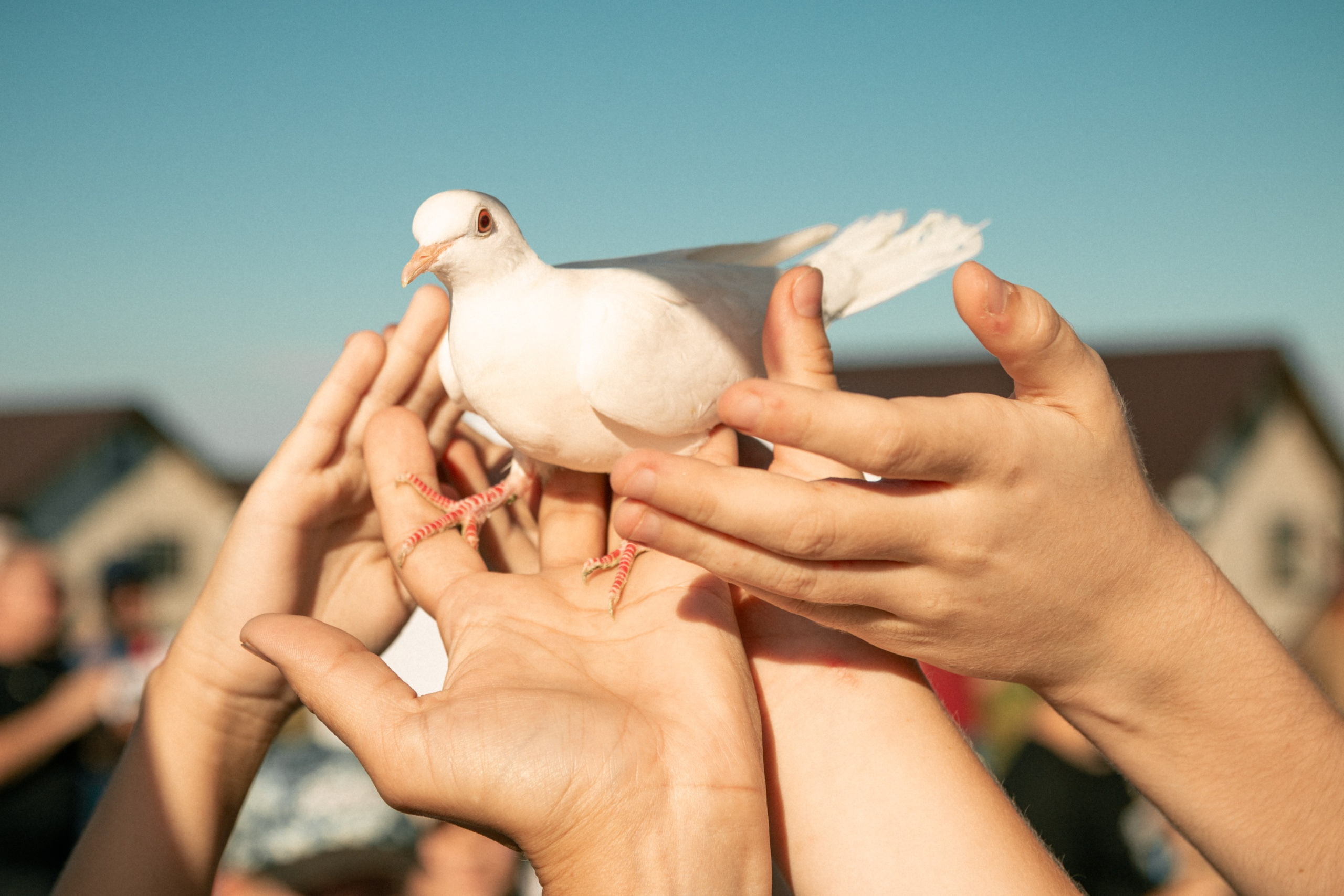Завод ПСМ — Семейный праздник. Фотограф в Ярославле Никита Зайцев