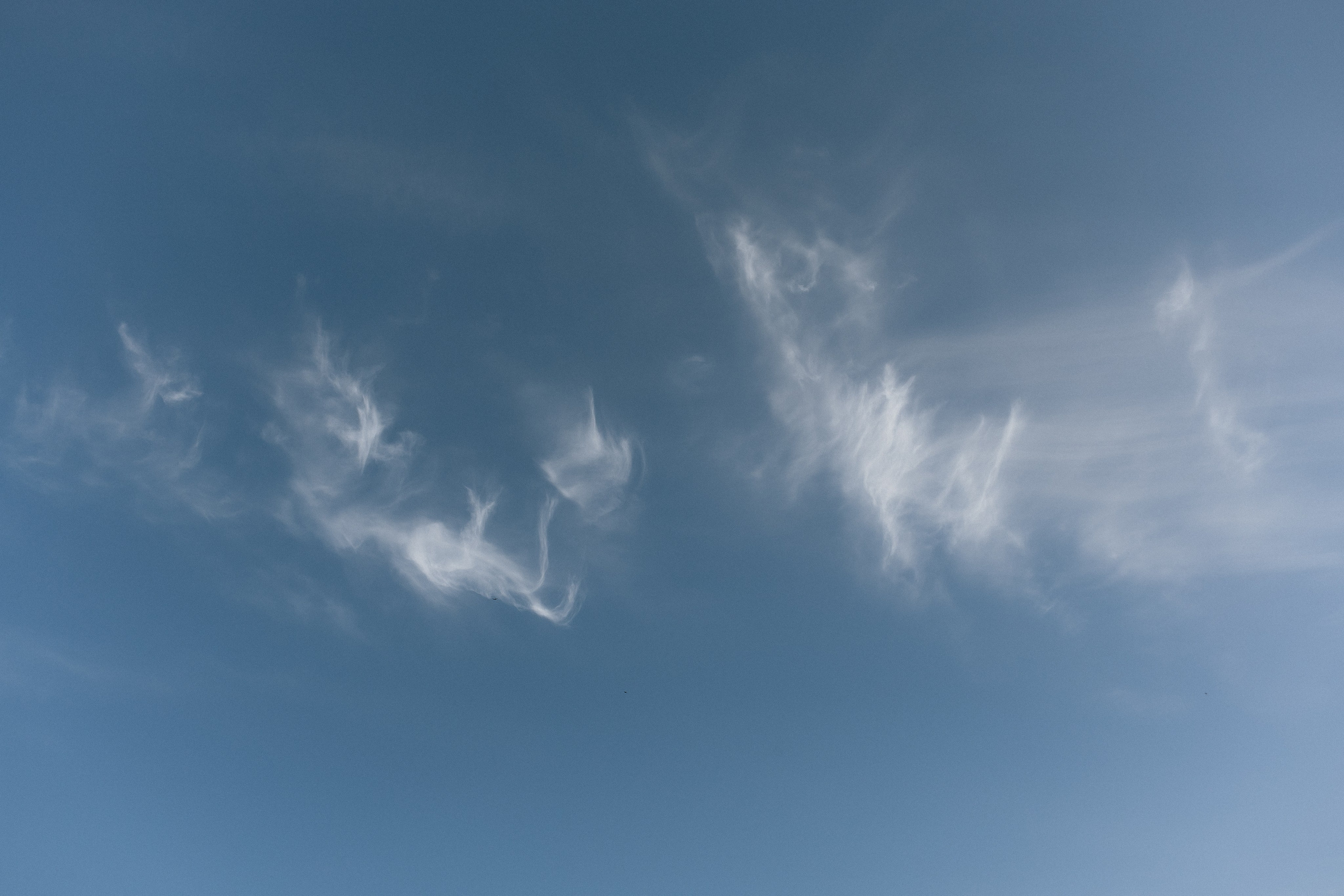 I & K. Фотограф Ольга Сапронова. Свадебный фотограф Ольга Сапронова