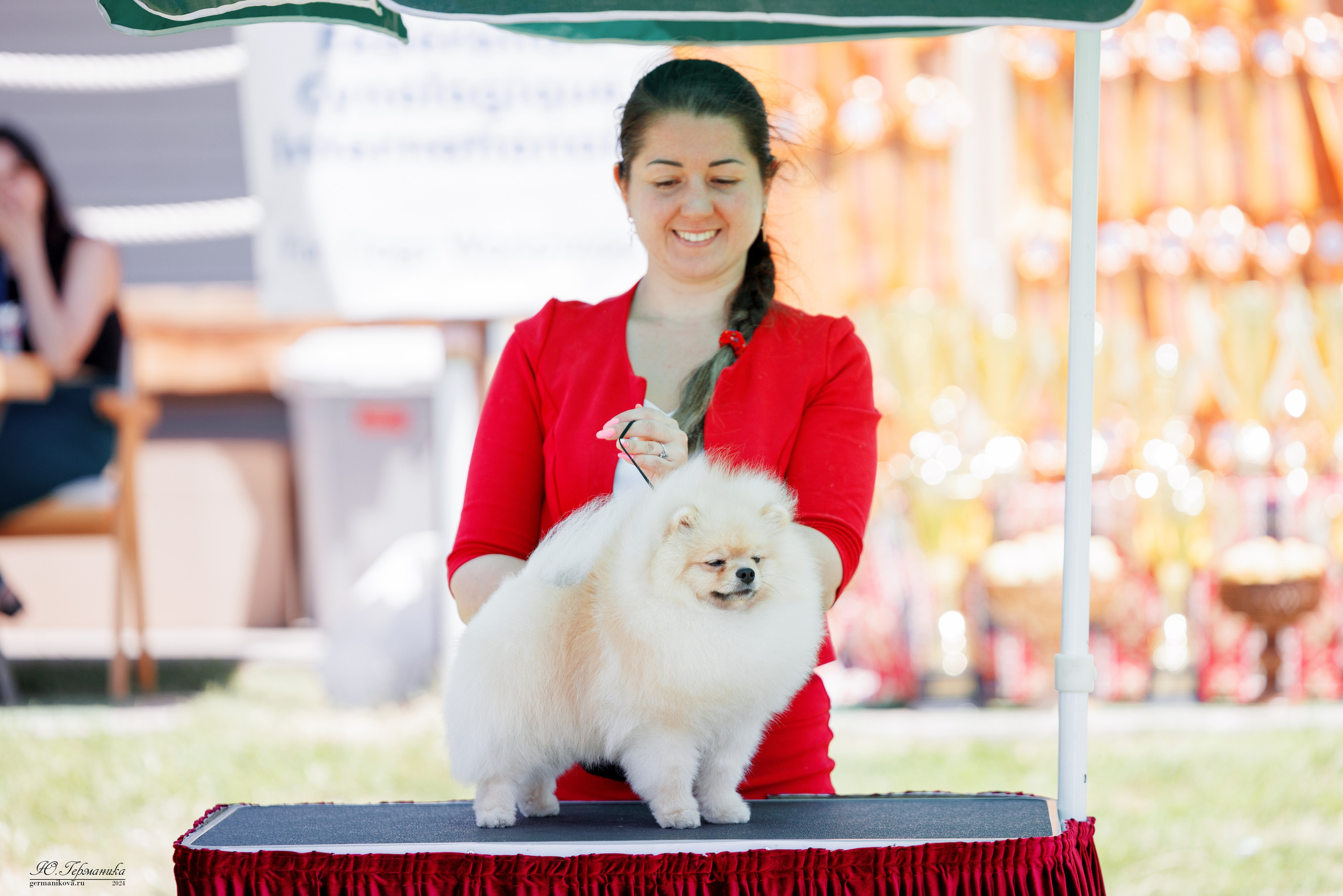 Ереван 3-5.06.2024. Фотограф-анималист Юлия Германика