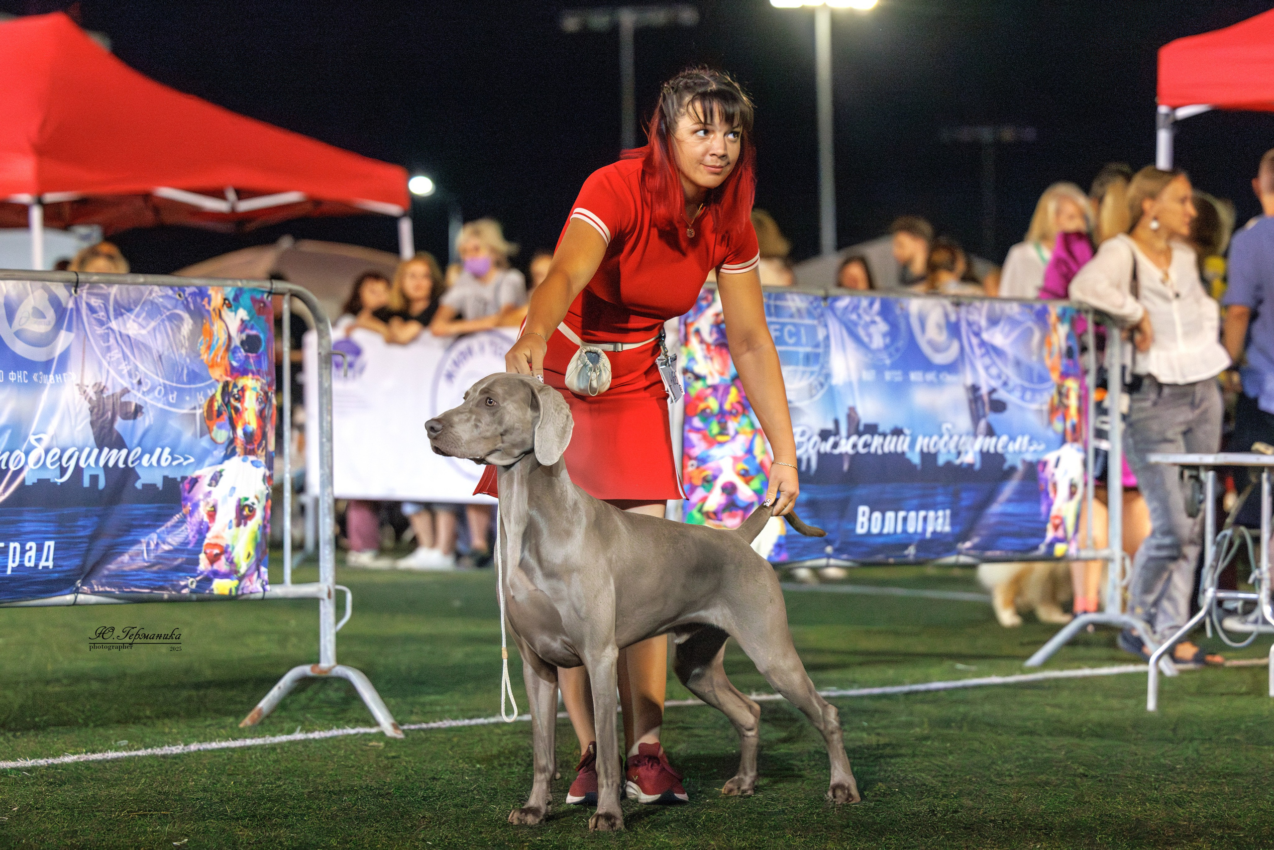 Калининград 25-27.07 Волгоград 1-3.08 2025. Фотограф-анималист Юлия Германика
