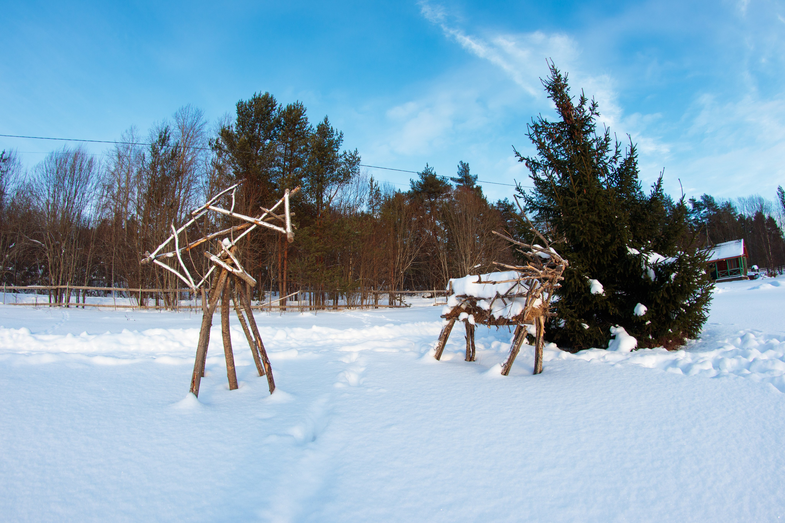И вокруг меня. Портретный и концертный фотограф в Санкт-Петербурге Егор Телятников