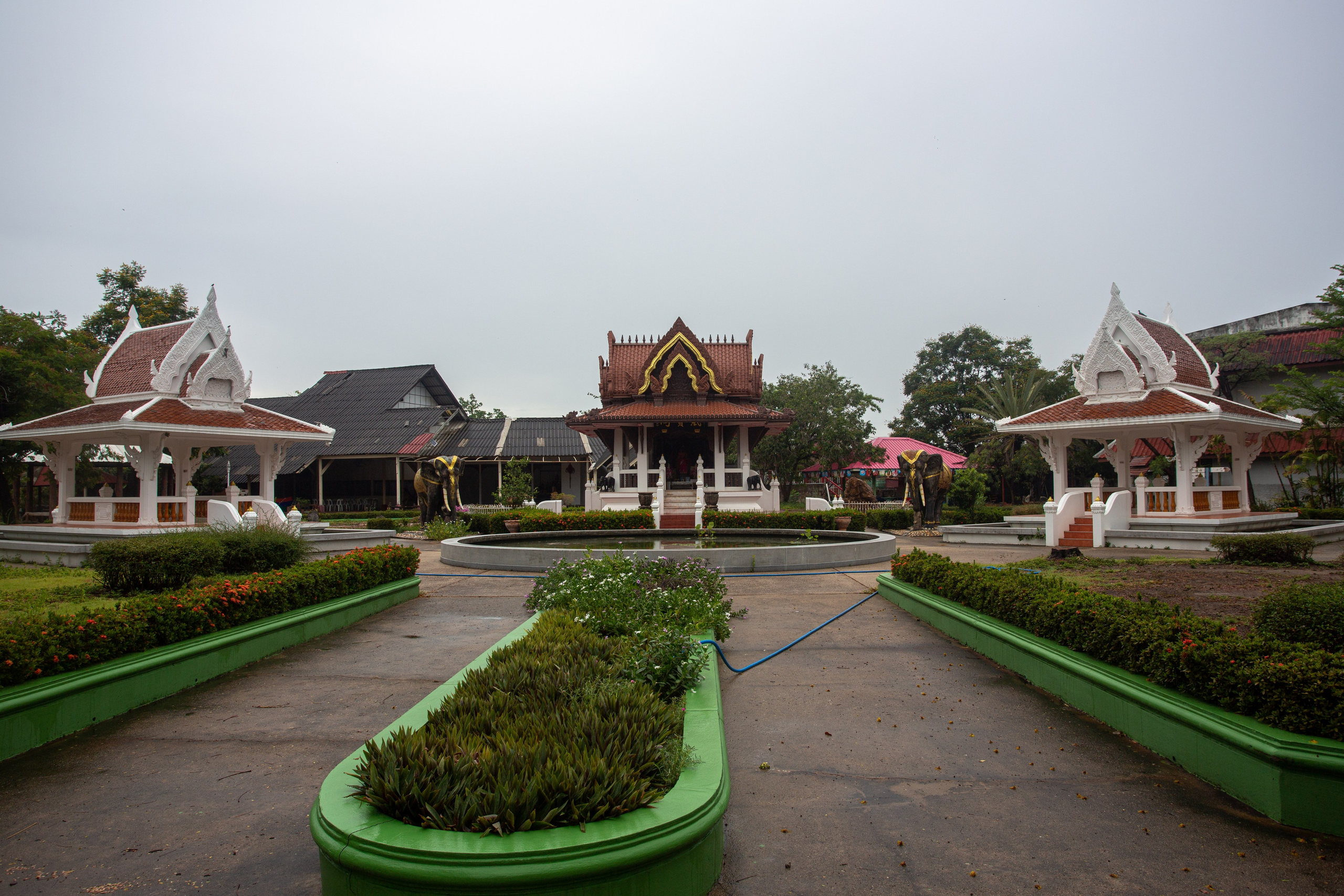 Samut Prakan Crocodile Farm & Zoo. Photographer Sonkina Tatiana (Tanya Ash)