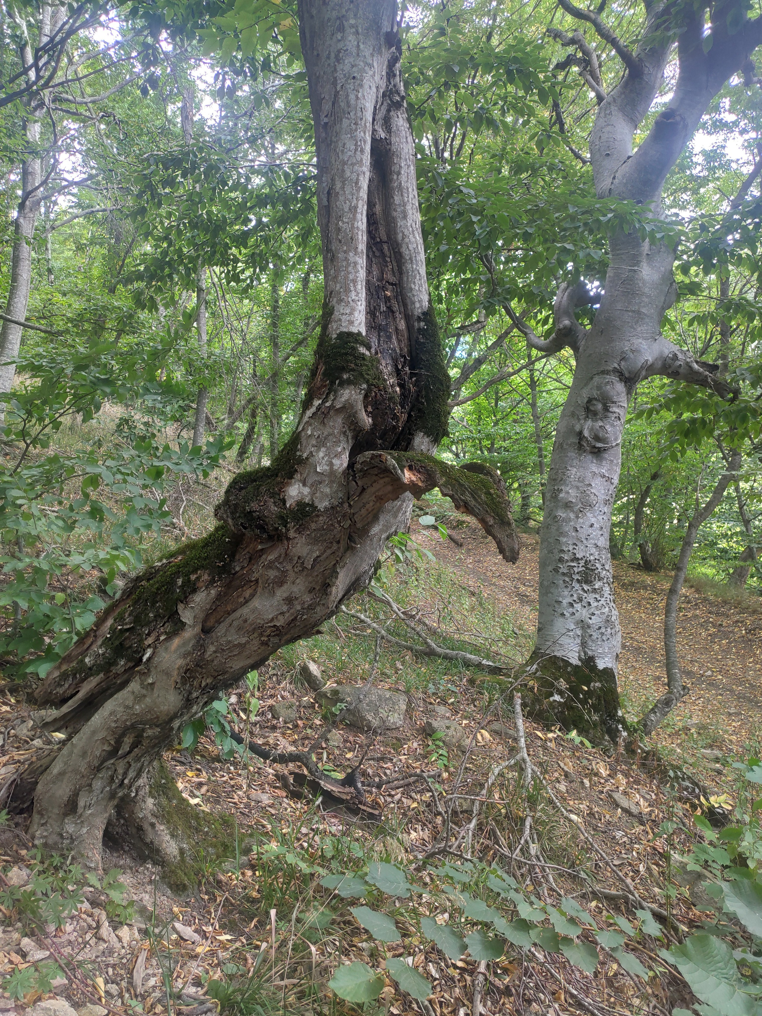 Ресурсы. Контент-фотограф Рязань/Москва/Санкт-Петербург/Сочи Елена Сазонтова