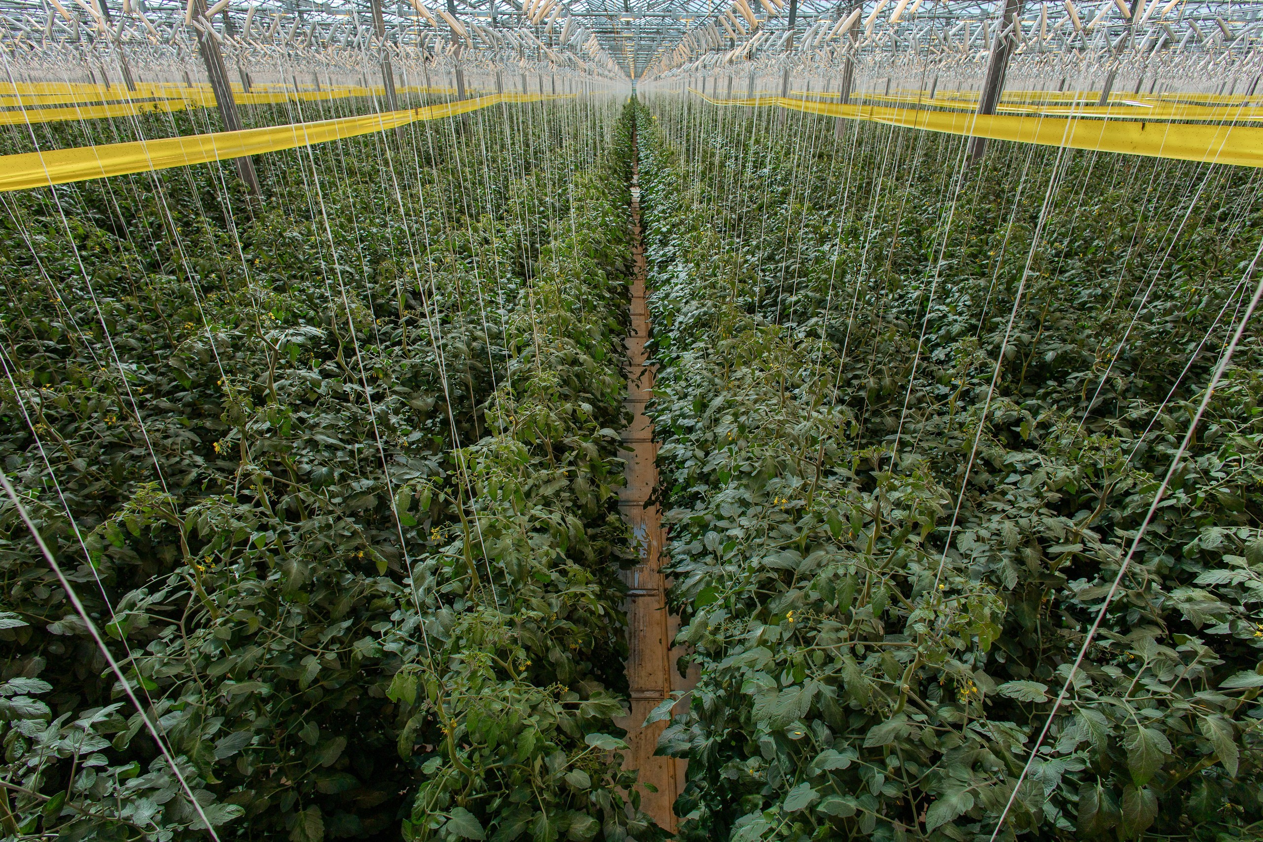 Производство. Фотограф Николай Петрушкин | Ставрополь, Москва