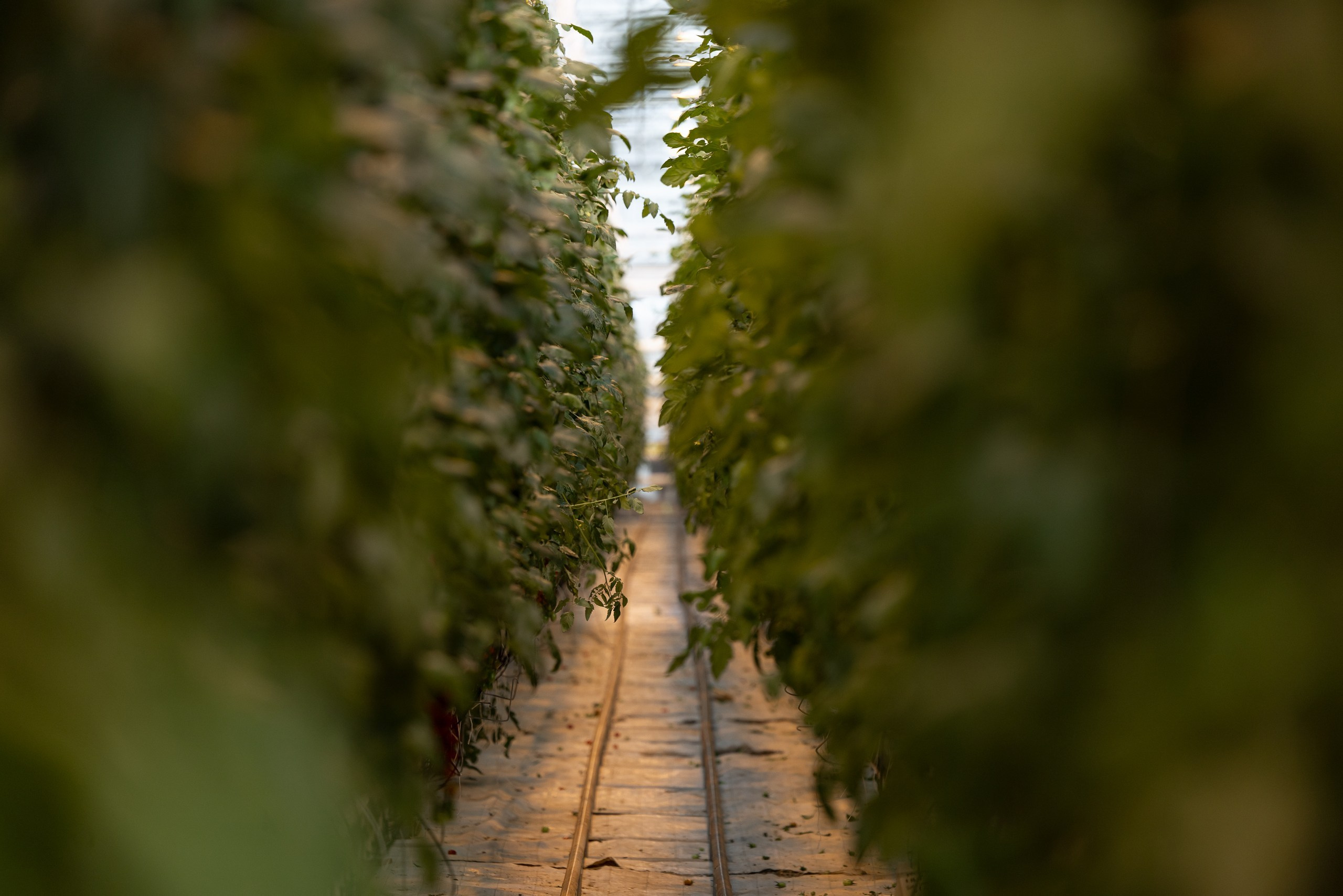 Производство. Фотограф Николай Петрушкин | Ставрополь, Москва