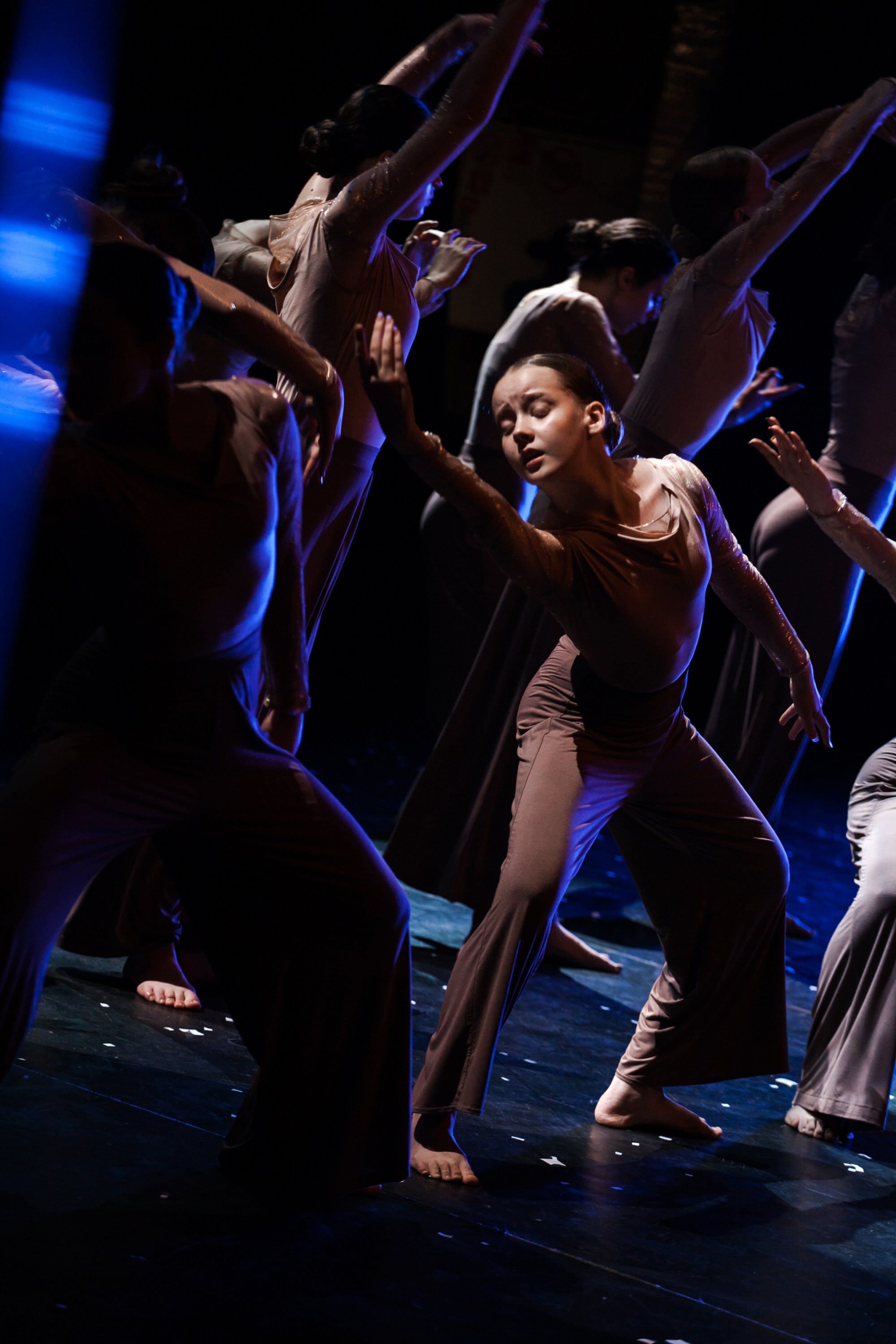 Концерты. Виолетта Скрипка