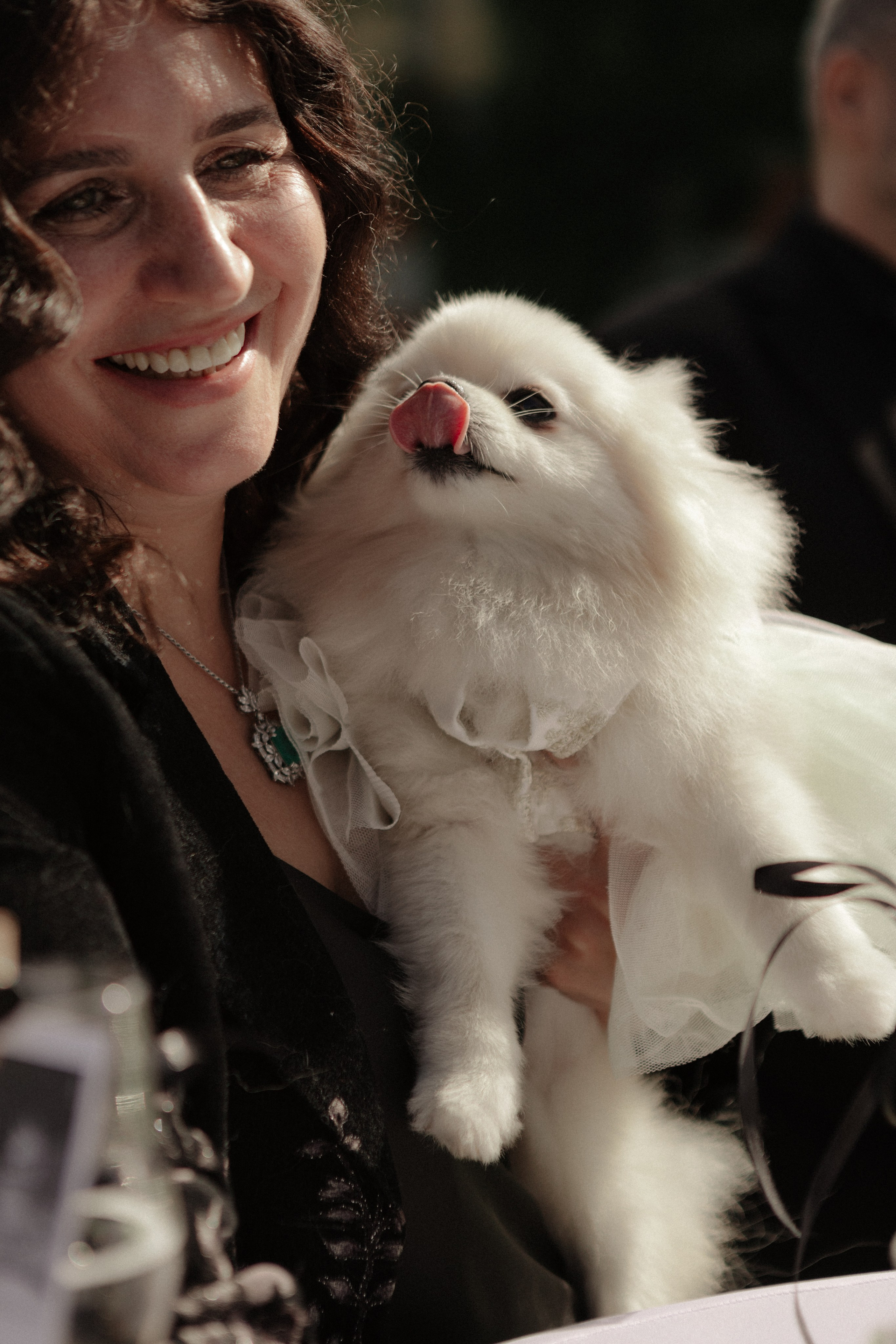 Аля и Паша. Свадьба в Пахра Парк. Свадебный и портретный фотограф в Москве Анастасия Масюк