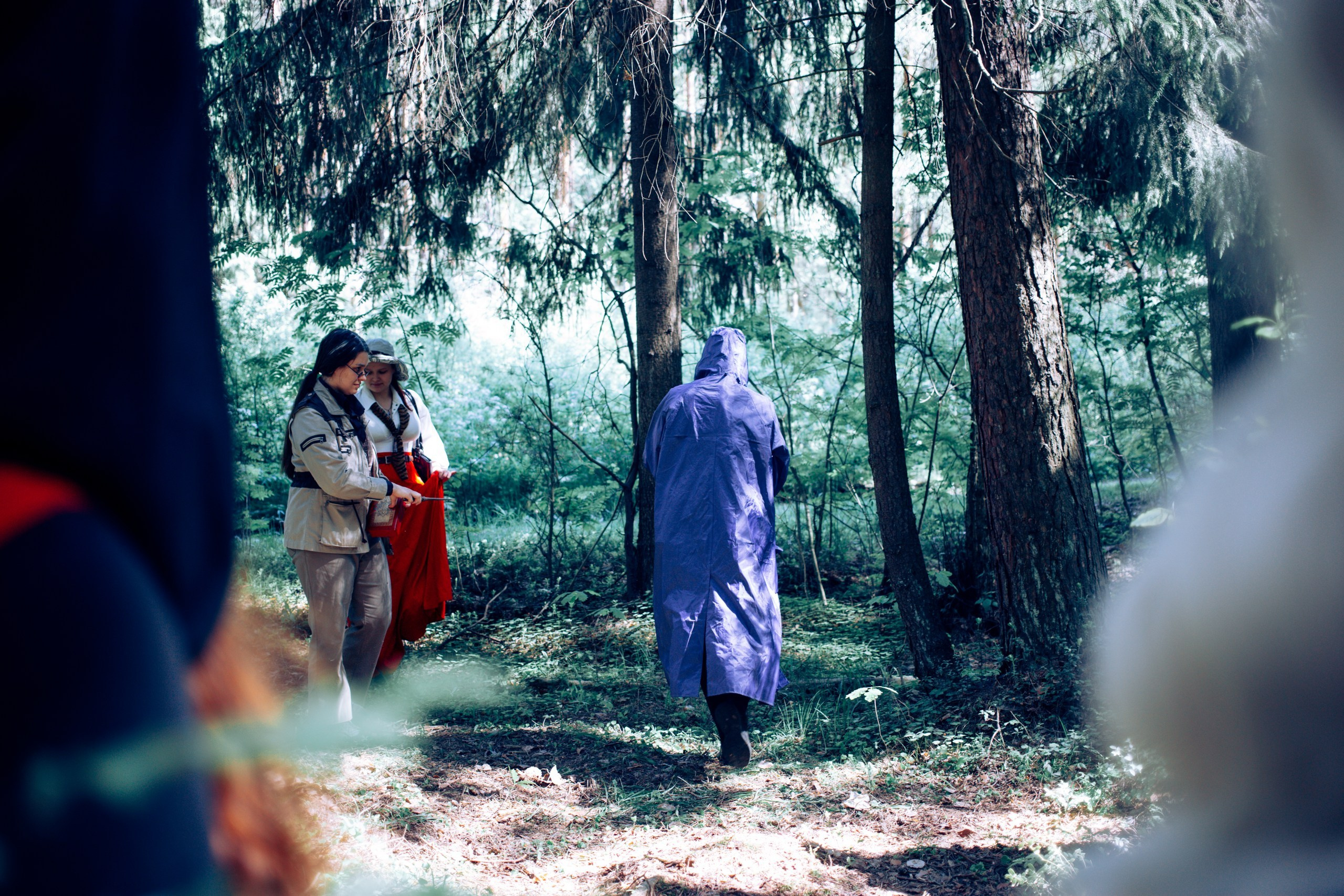 Запретный лес. Репортажный фотограф Анастасия Головко