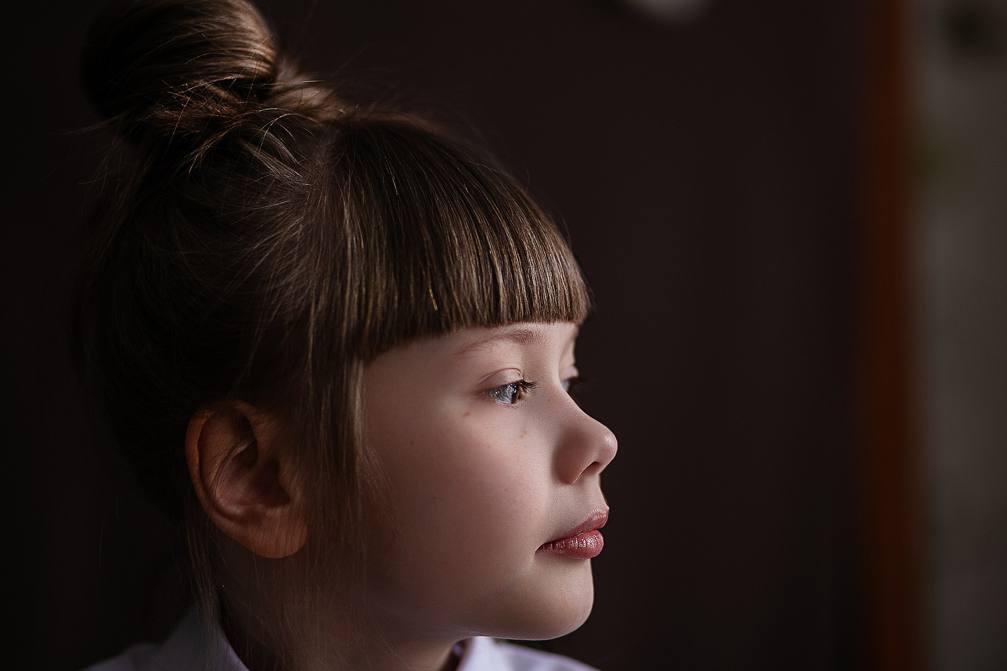 Портфолио. Светлана Лихотникова