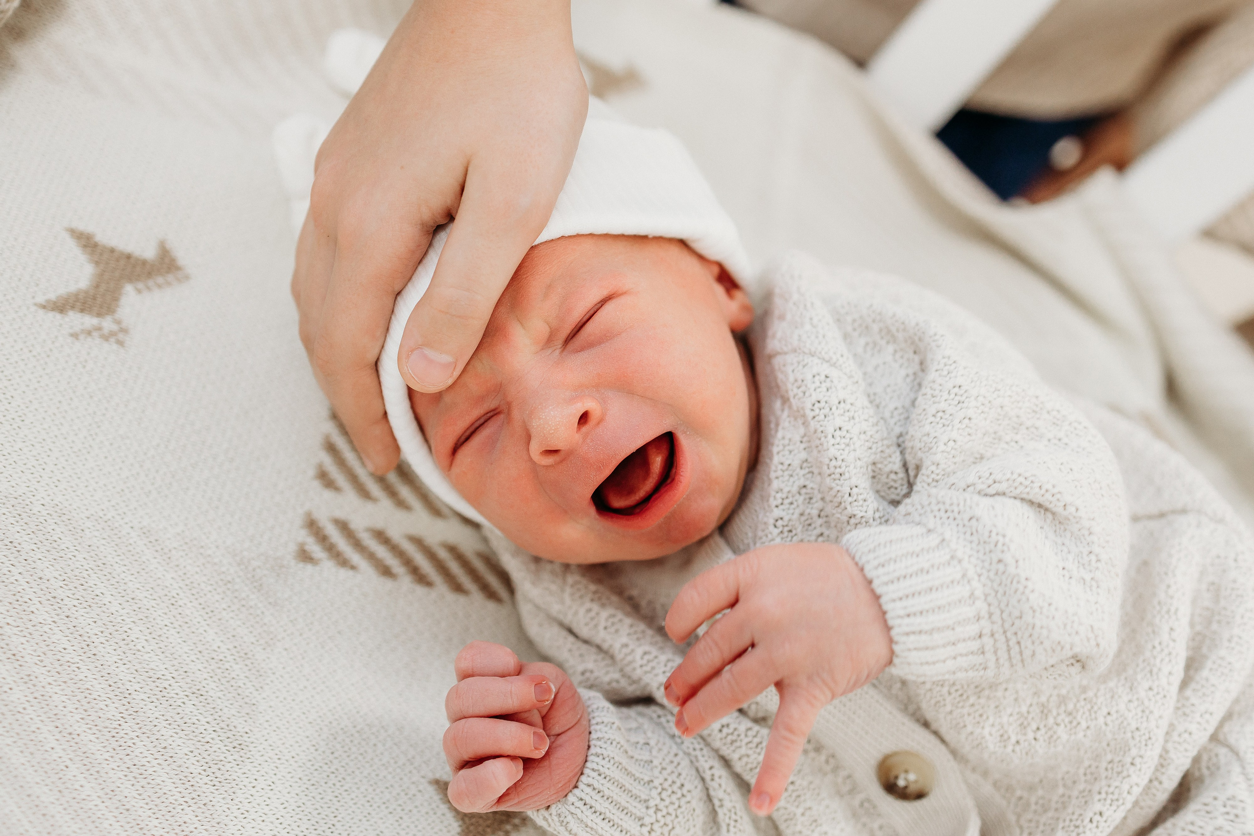 Анри. Семейный и детский фотограф в Краснодаре. Фотограф новорожденных. Фотограф ньюборн. Фотограф родов Краснодар. Катя Угнивенко