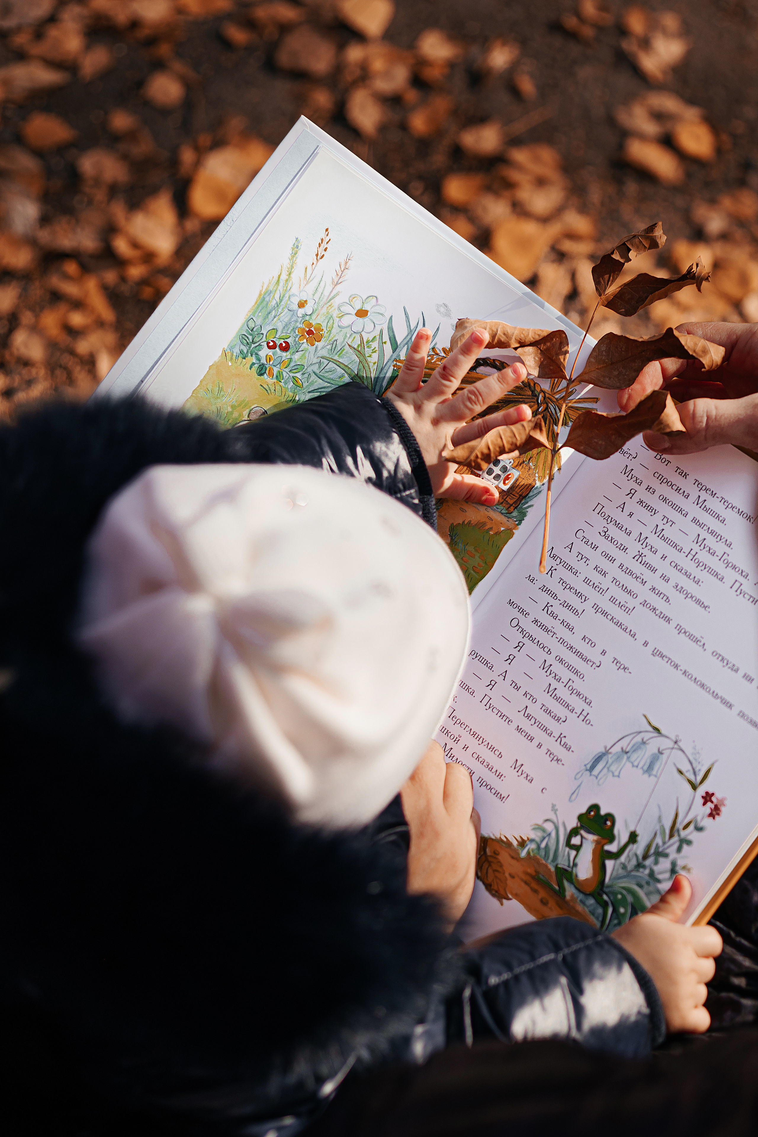 Алексей, Алла, Юля. Свадебный и семейный фотограф Анна Печенкина