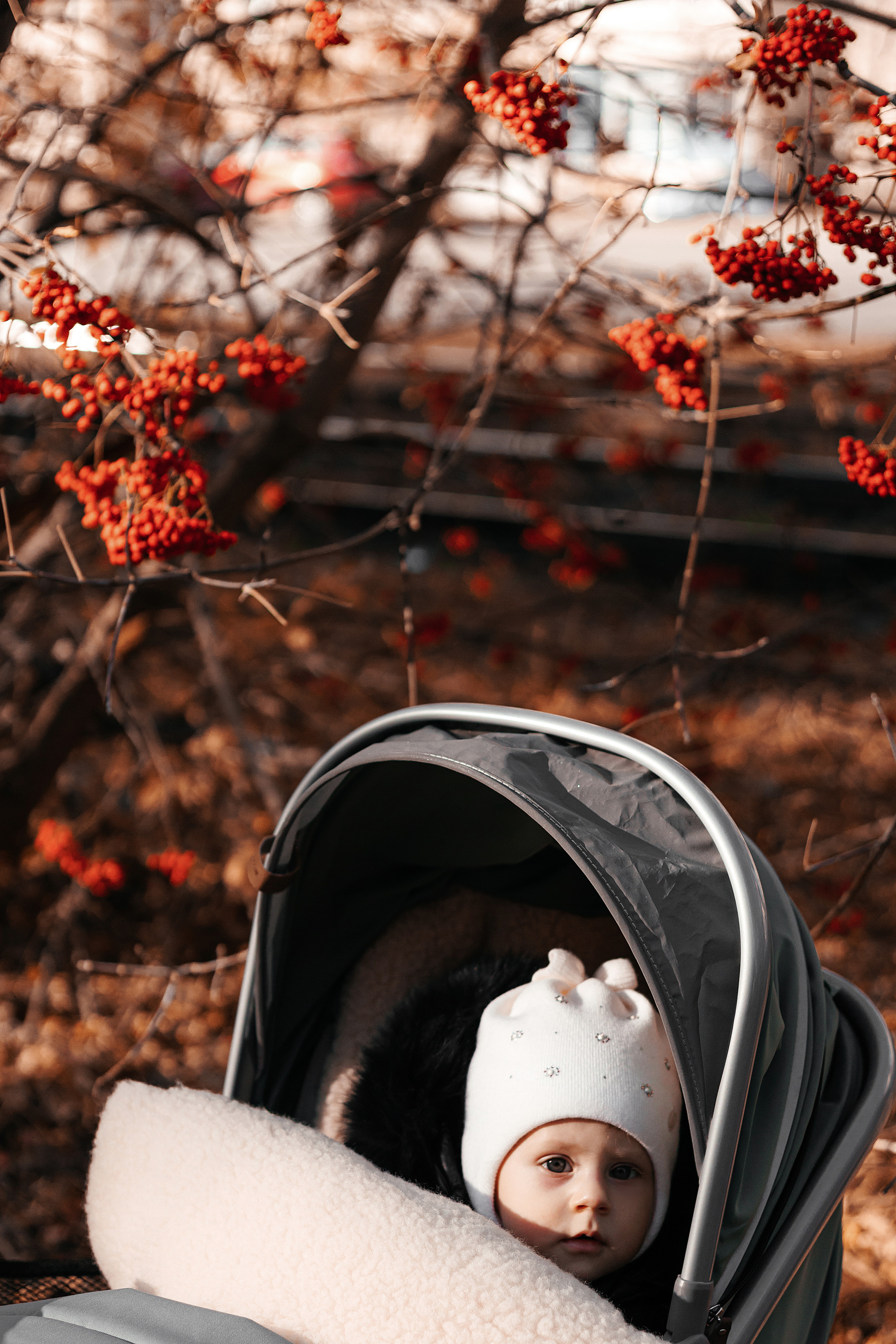 Алексей, Алла, Юля. Свадебный и семейный фотограф Анна Печенкина