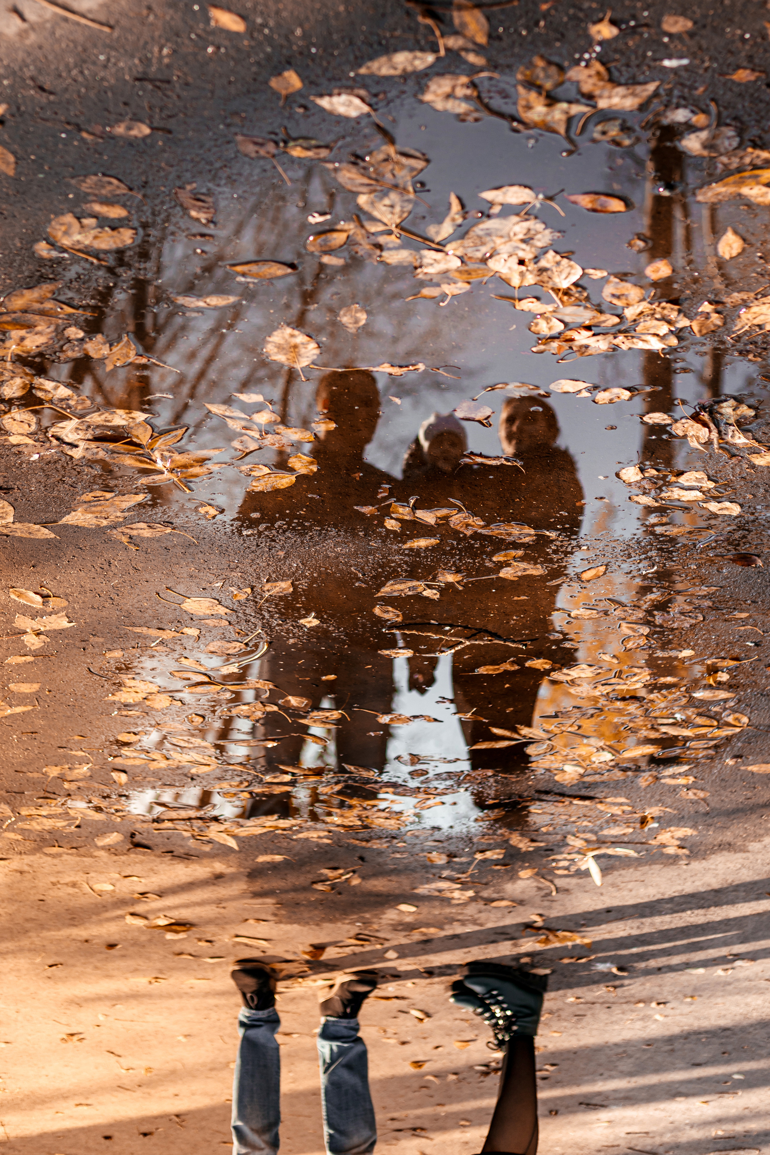 Алексей, Алла, Юля. Свадебный и семейный фотограф Анна Печенкина