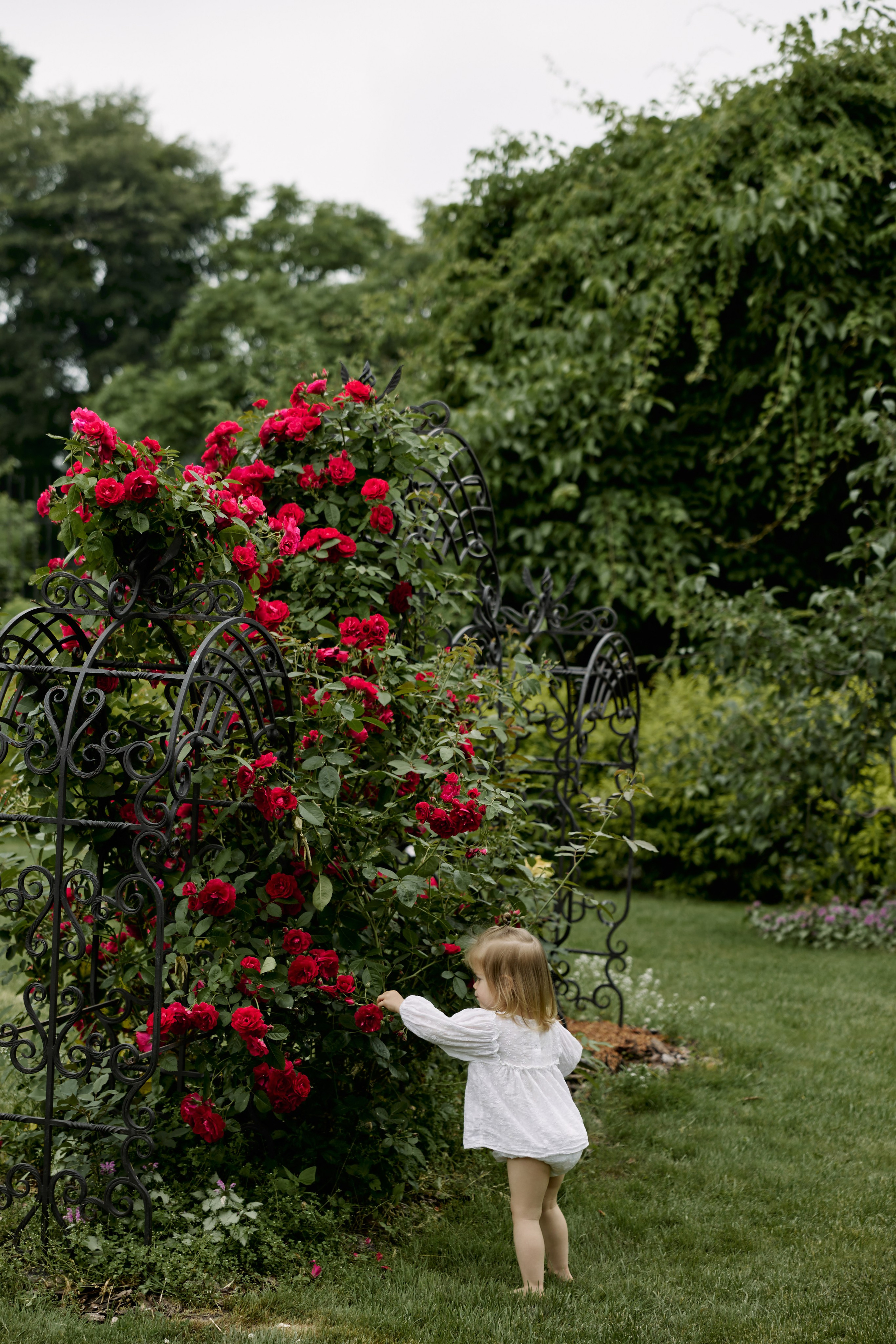 Прогулка в саду. Семейный фотограф и фотограф беременности во Владивостоке