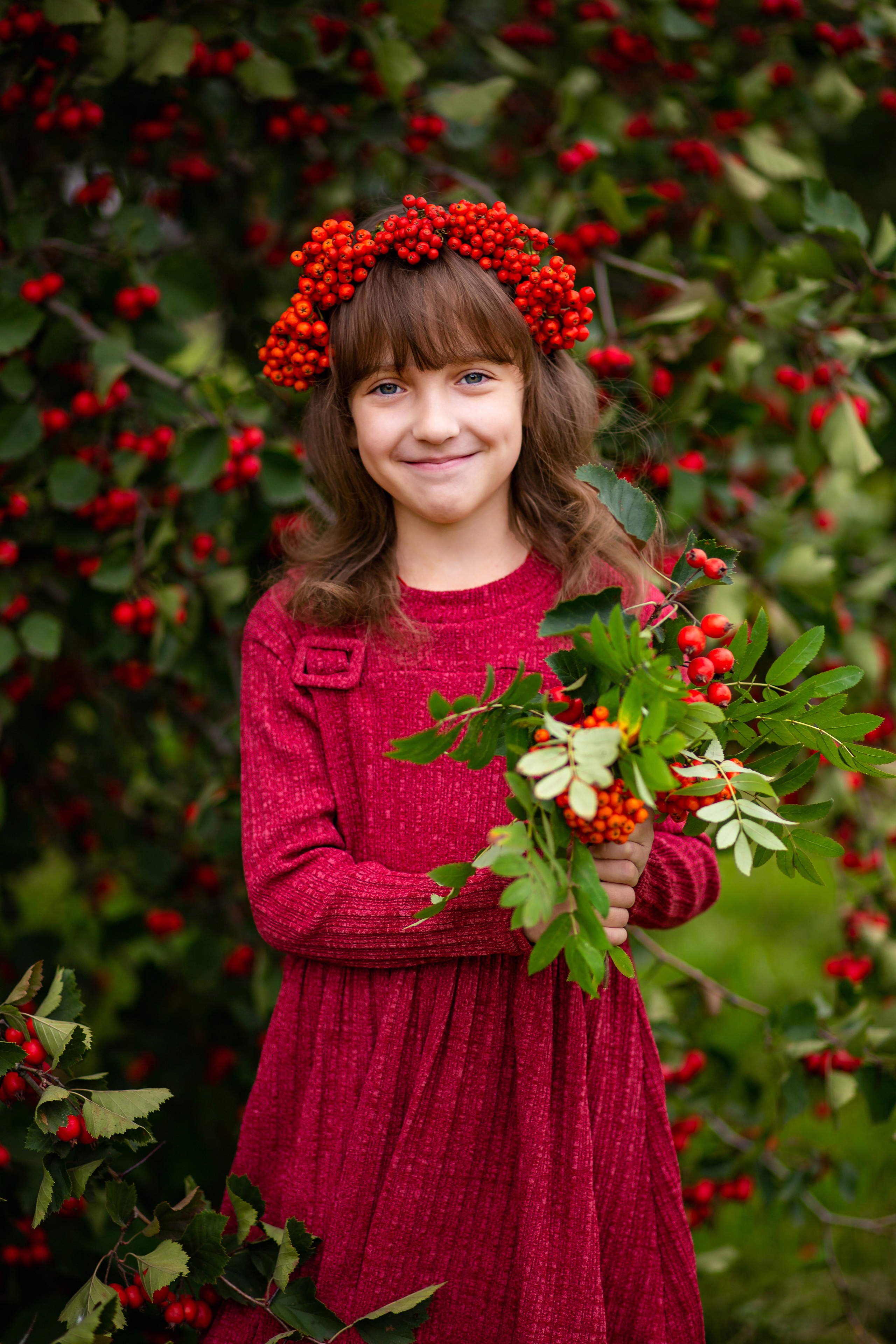 Рябина. Фотограф Дмитров. Москва