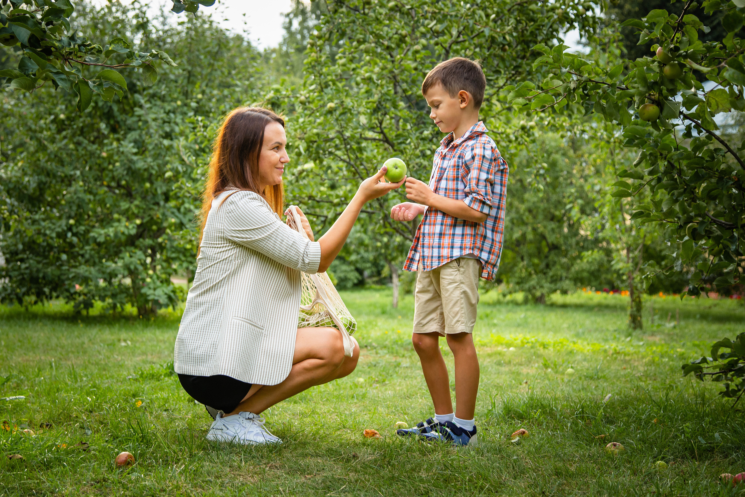 Яблоневый сад. Фотограф Дмитров. Москва