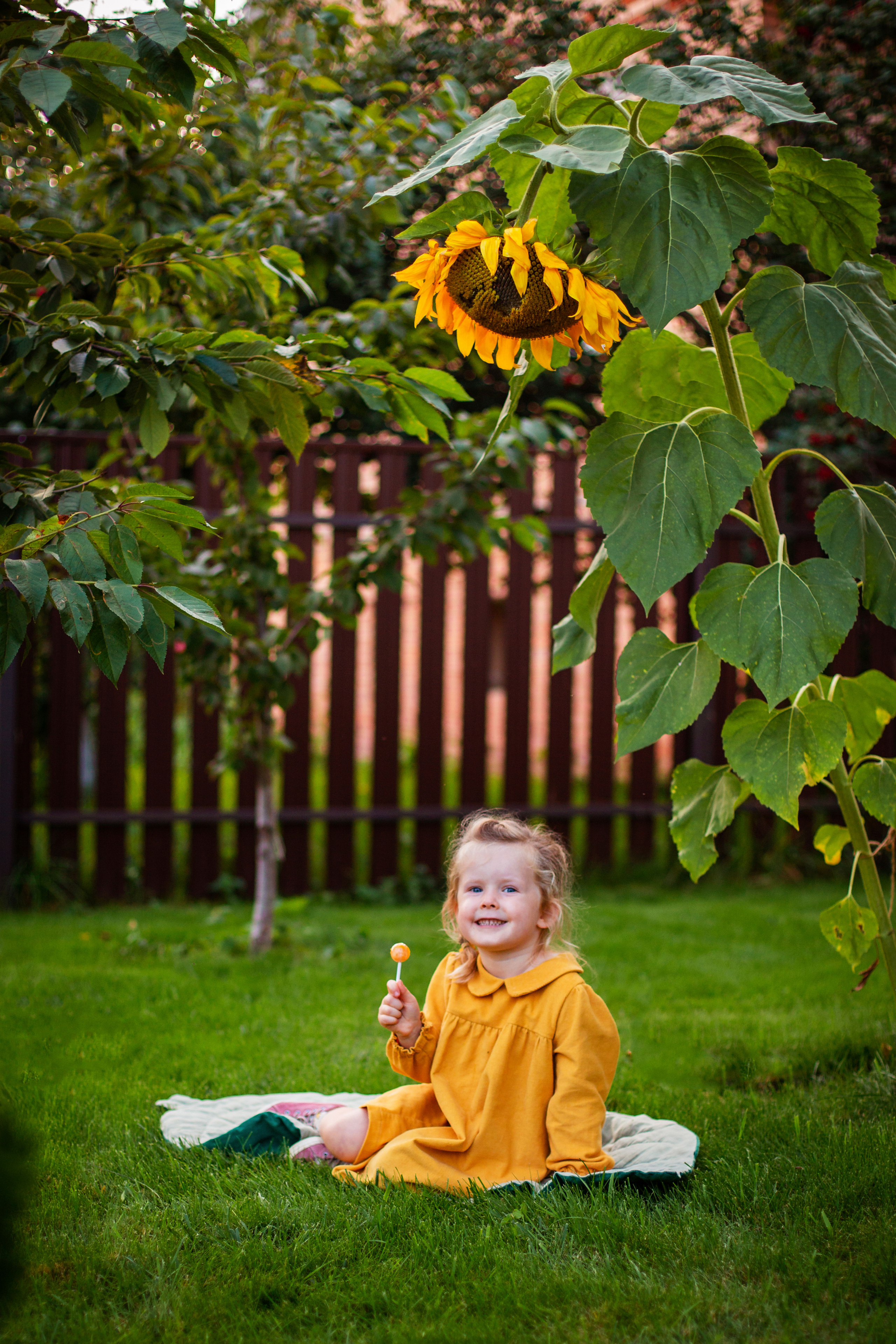 Осень золотая. Фотограф Дмитров. Москва