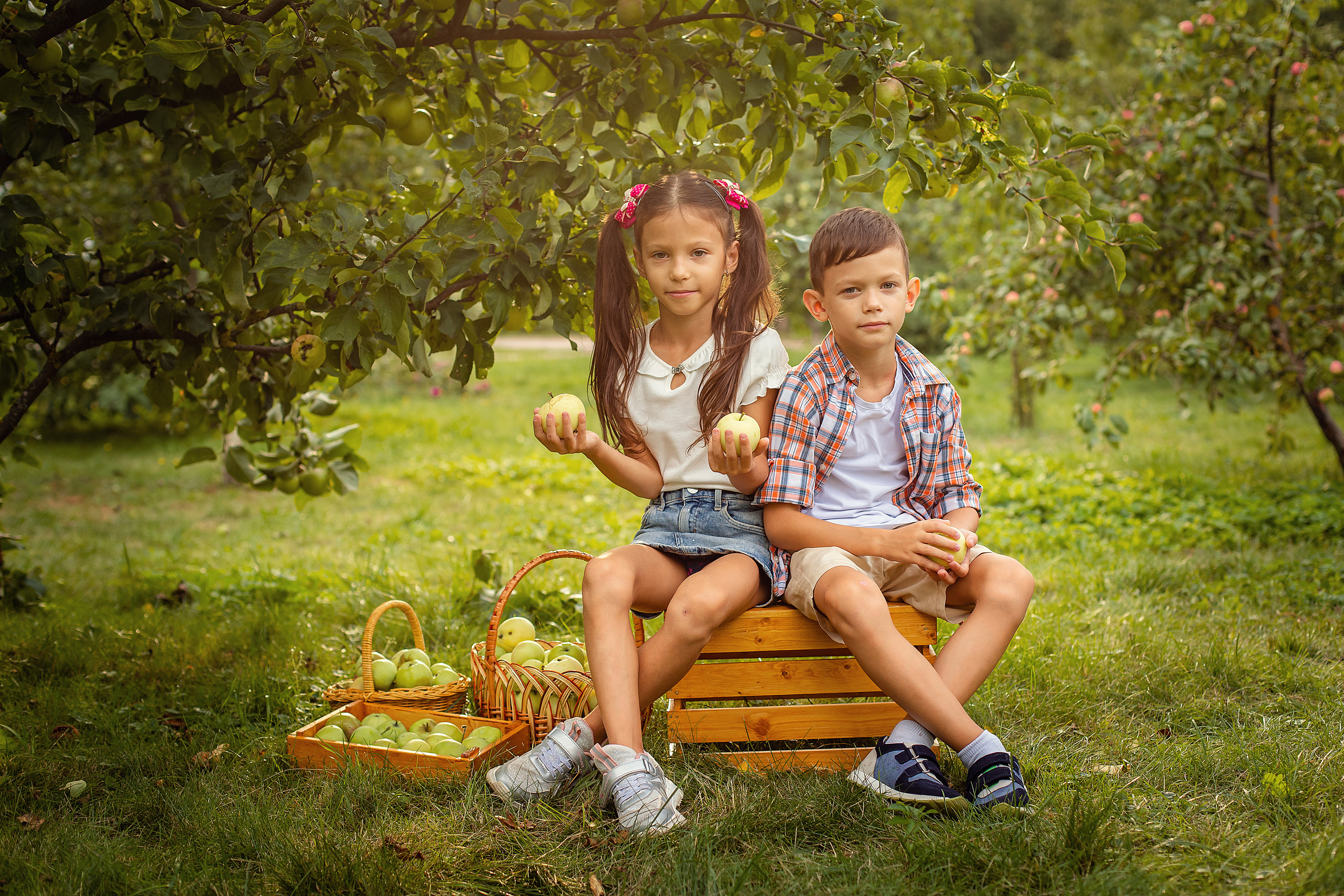 Яблоневый сад. Фотограф Дмитров. Москва