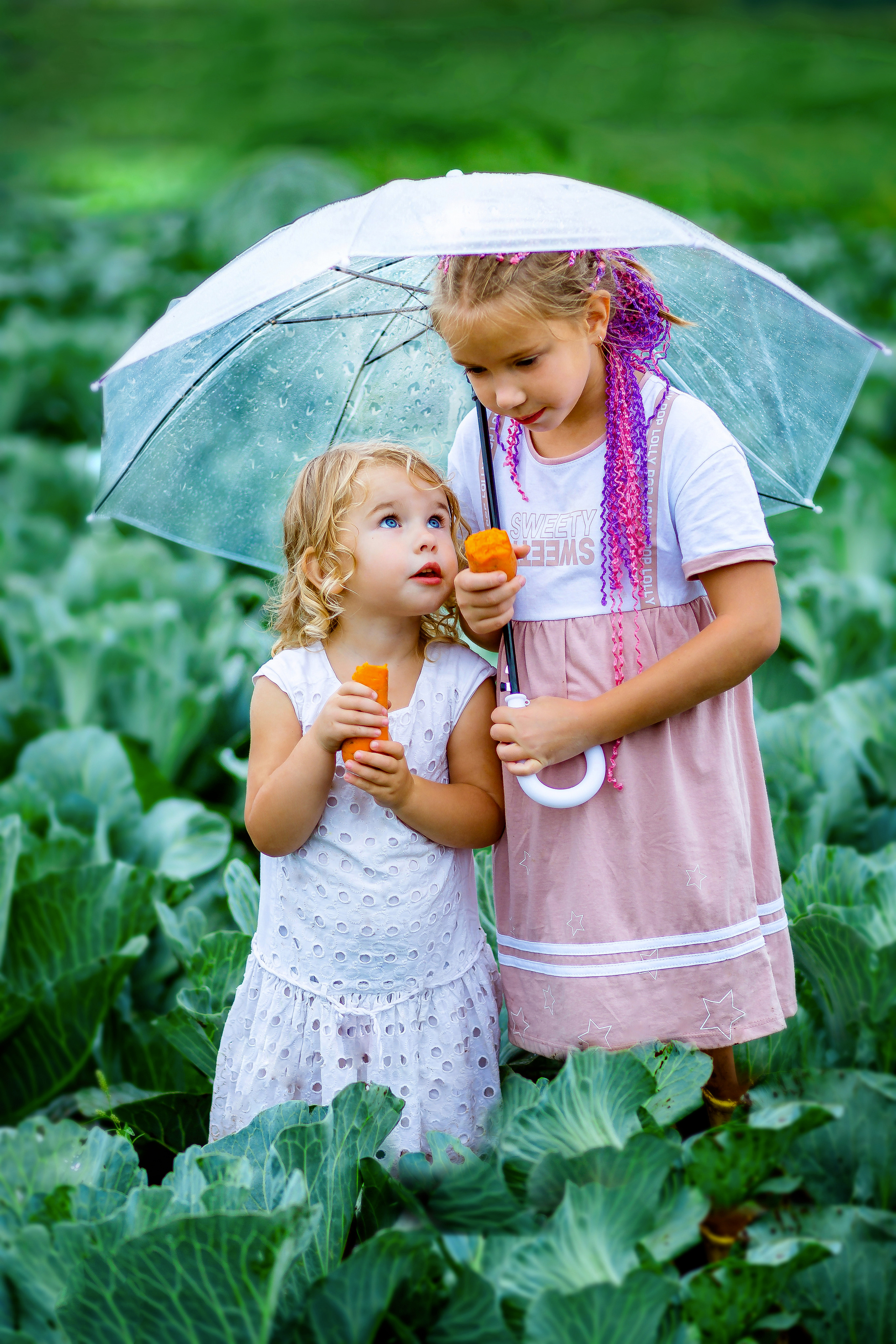 Дети в капустном поле. Фотограф Дмитров. Москва