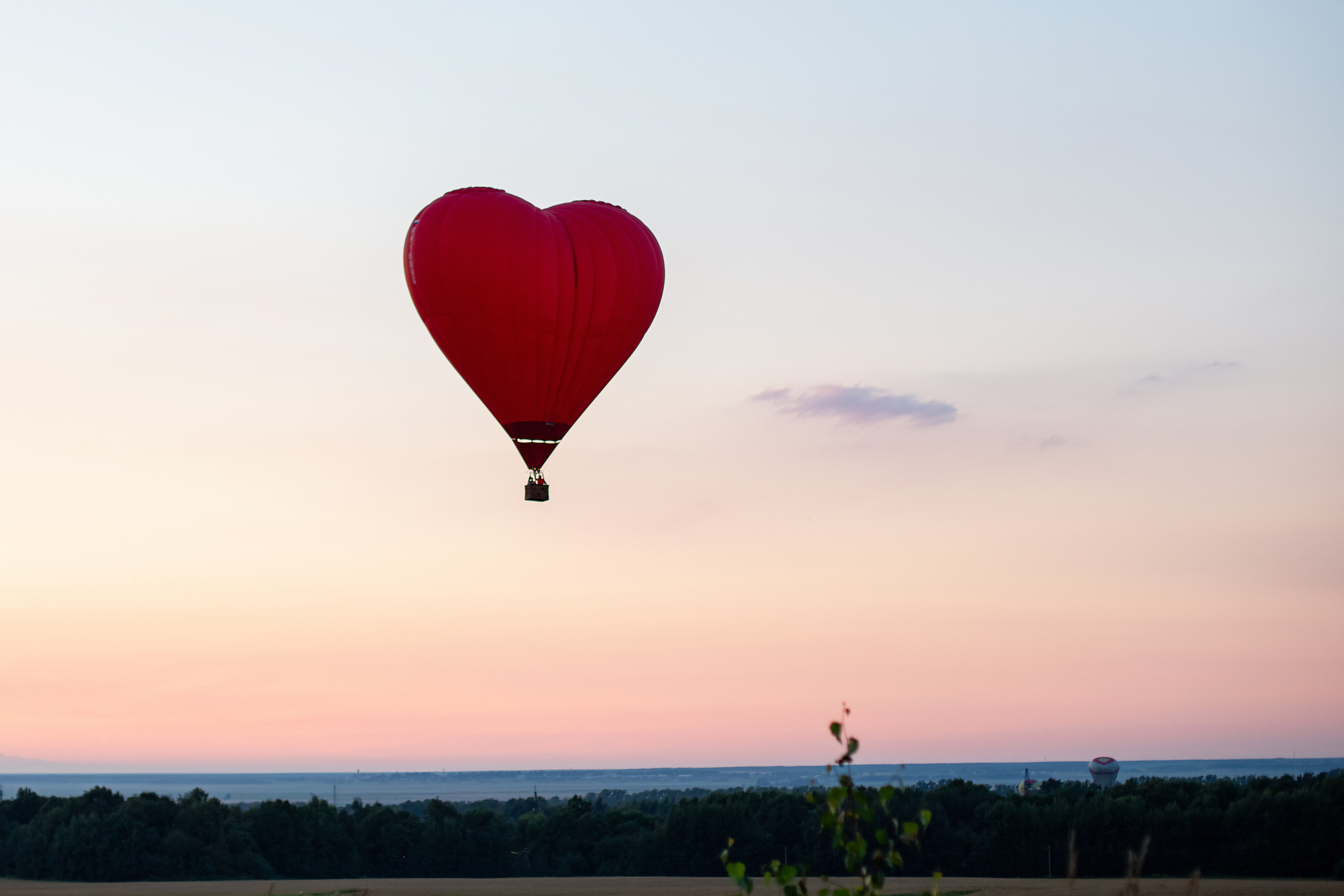 Наташа. Фотограф Дмитров. Москва