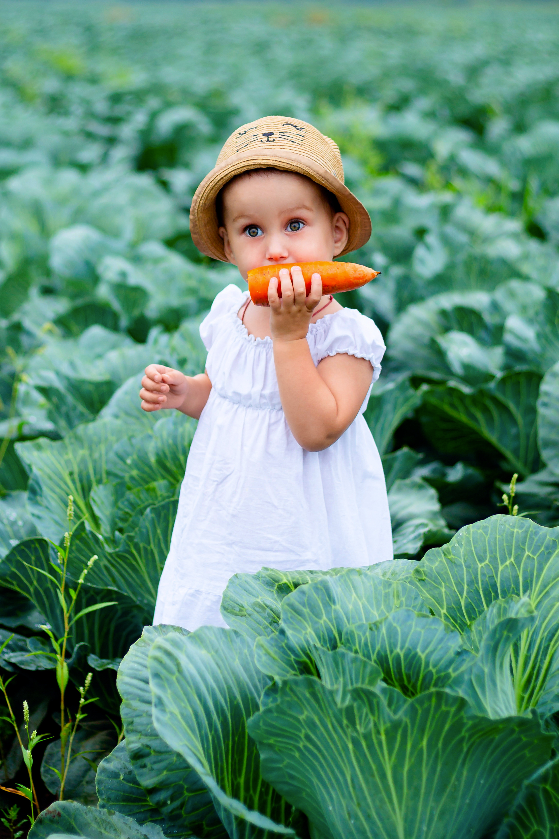 Дети в капустном поле. Фотограф Дмитров. Москва