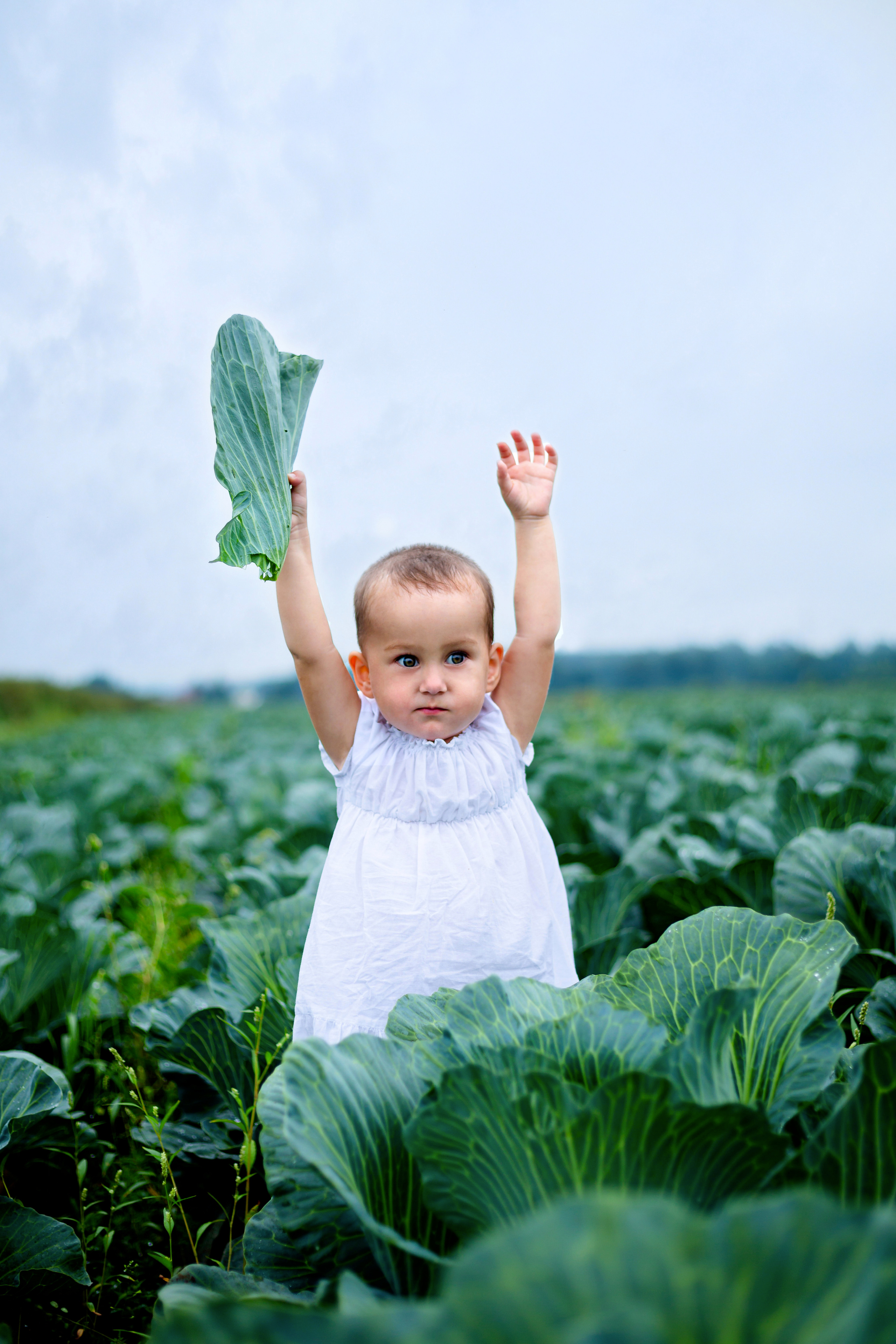 Дети в капустном поле. Фотограф Дмитров. Москва