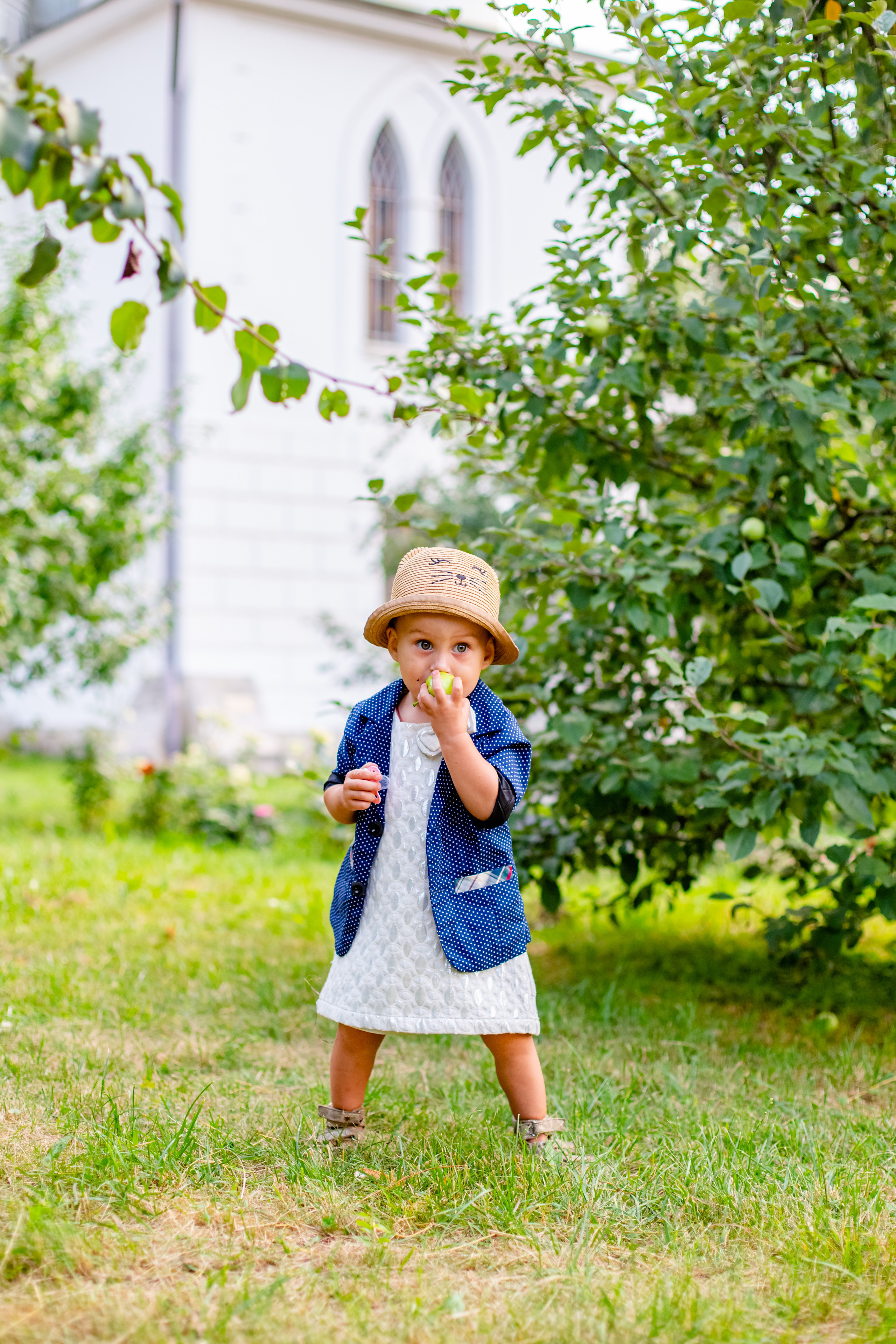 Яблоневый сад. Фотограф Дмитров. Москва