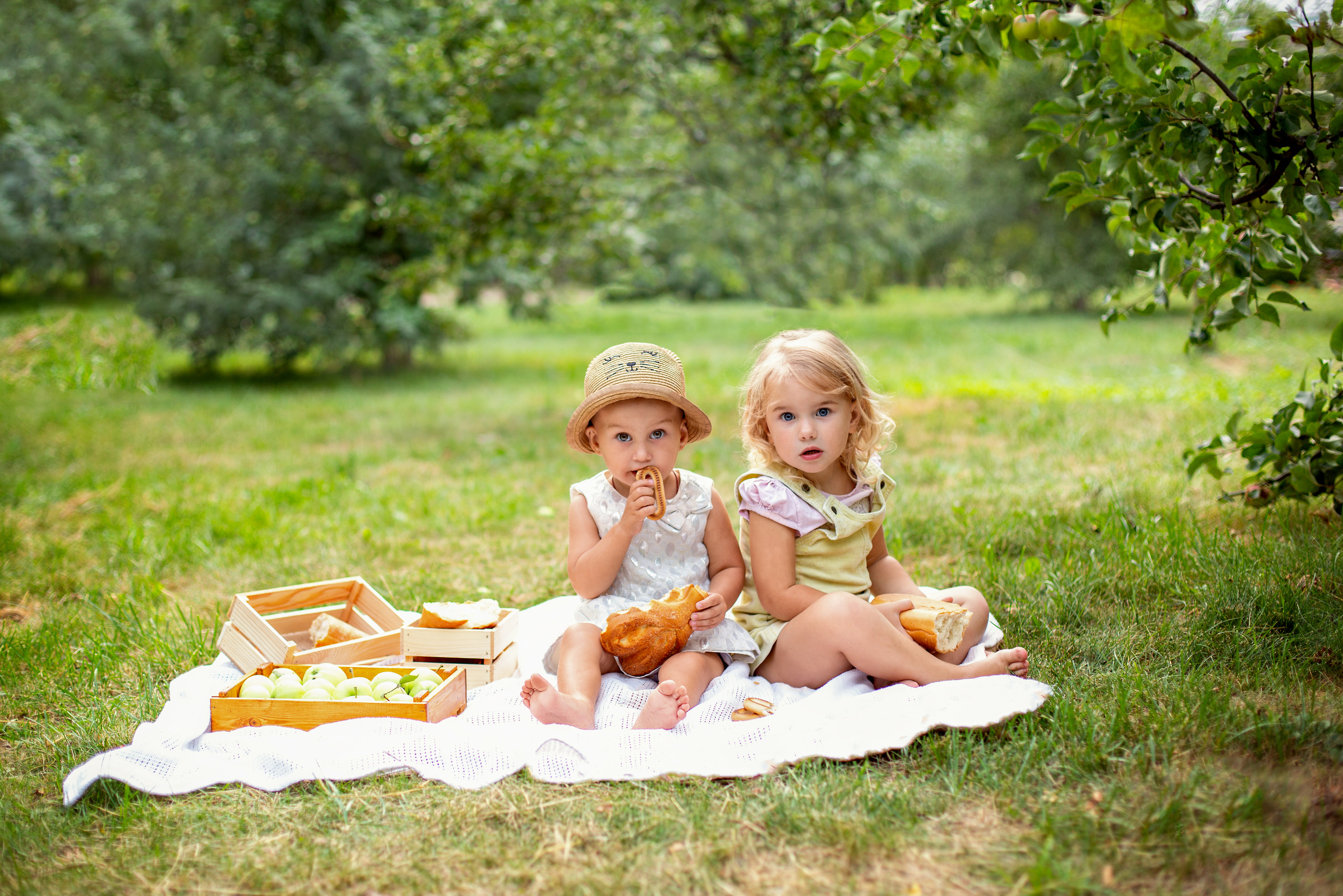 Яблоневый сад. Фотограф Дмитров. Москва