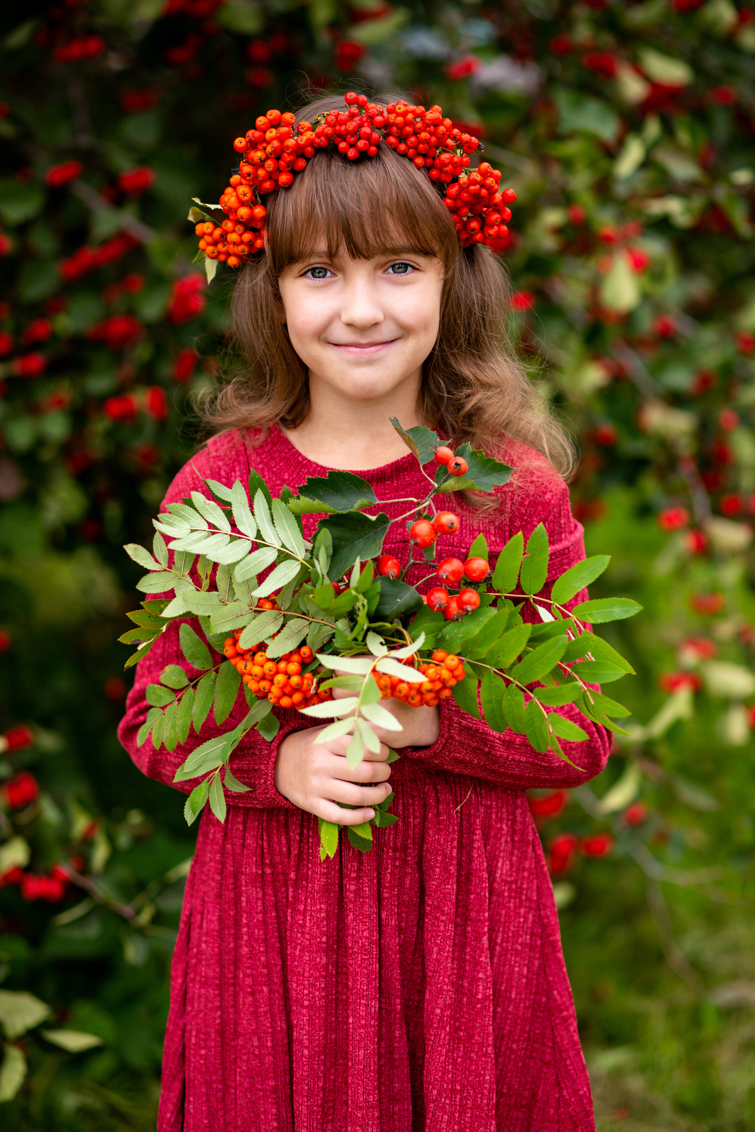 Рябина. Фотограф Дмитров. Москва