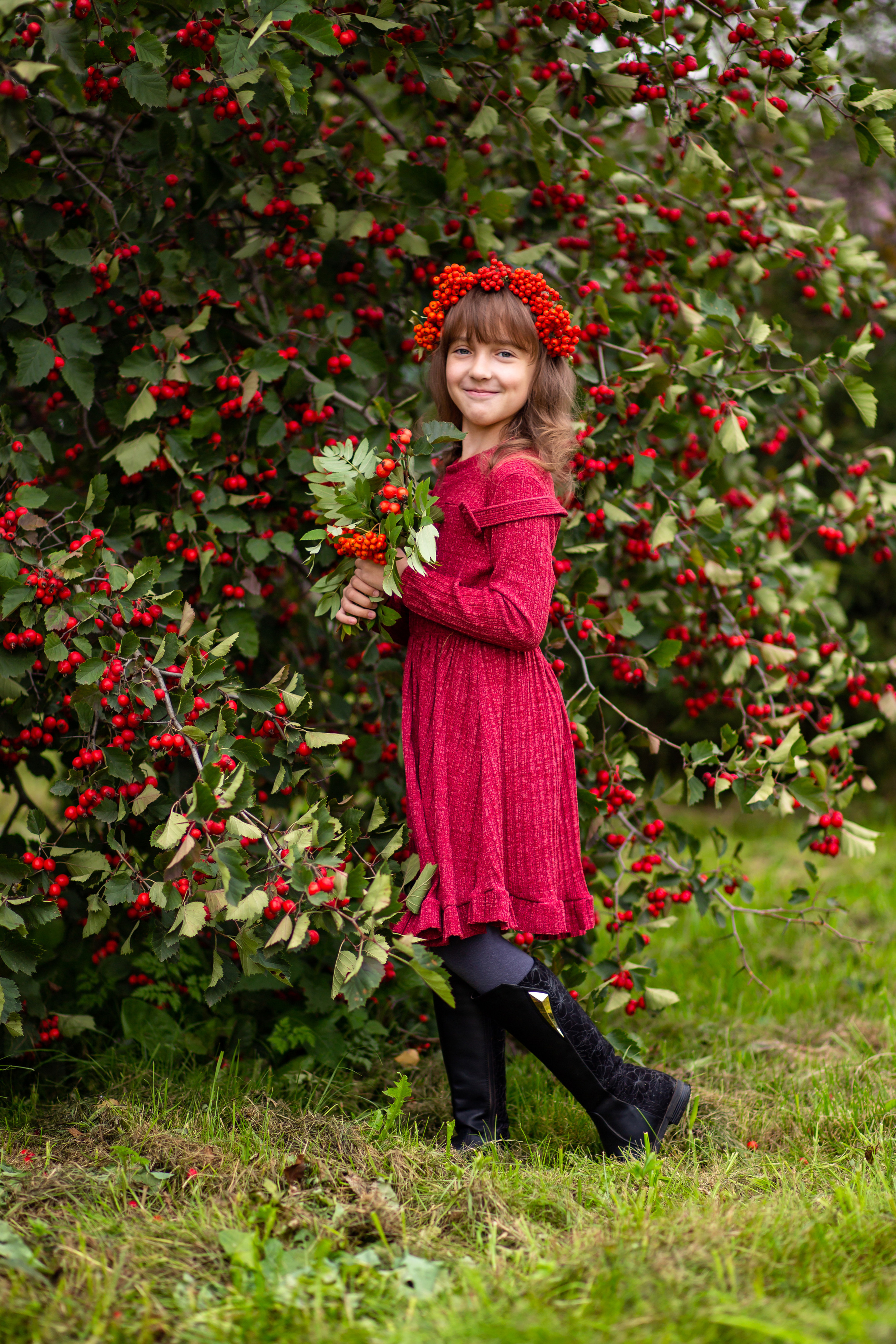 Рябина. Фотограф Дмитров. Москва