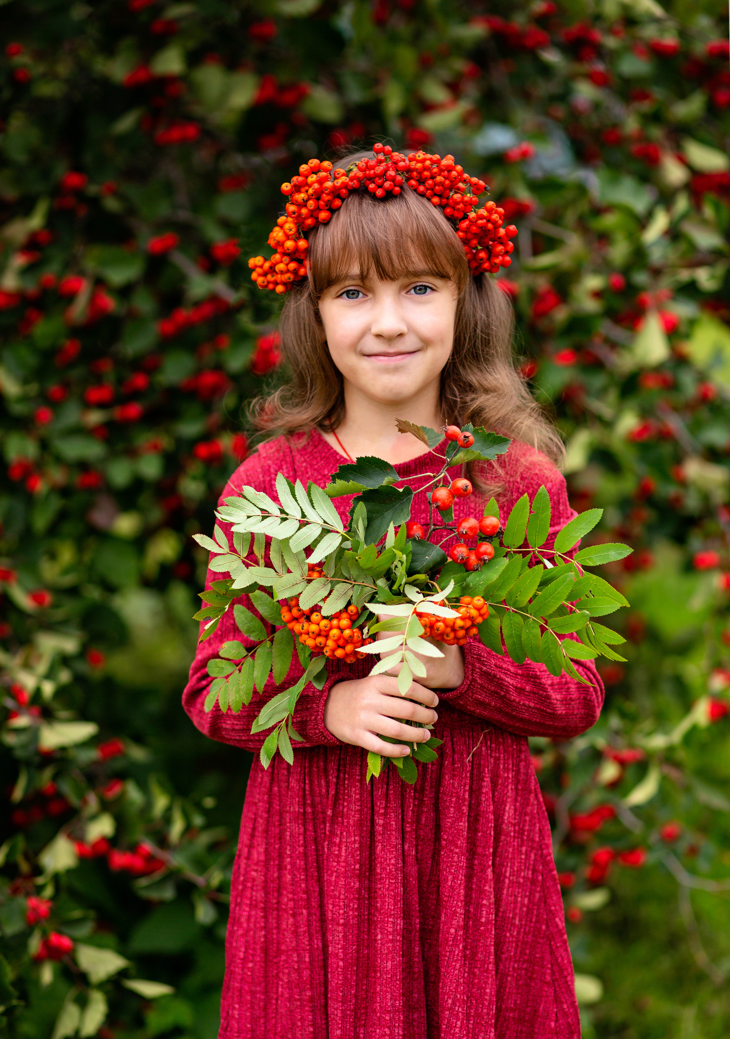 Рябина. Фотограф Дмитров. Москва