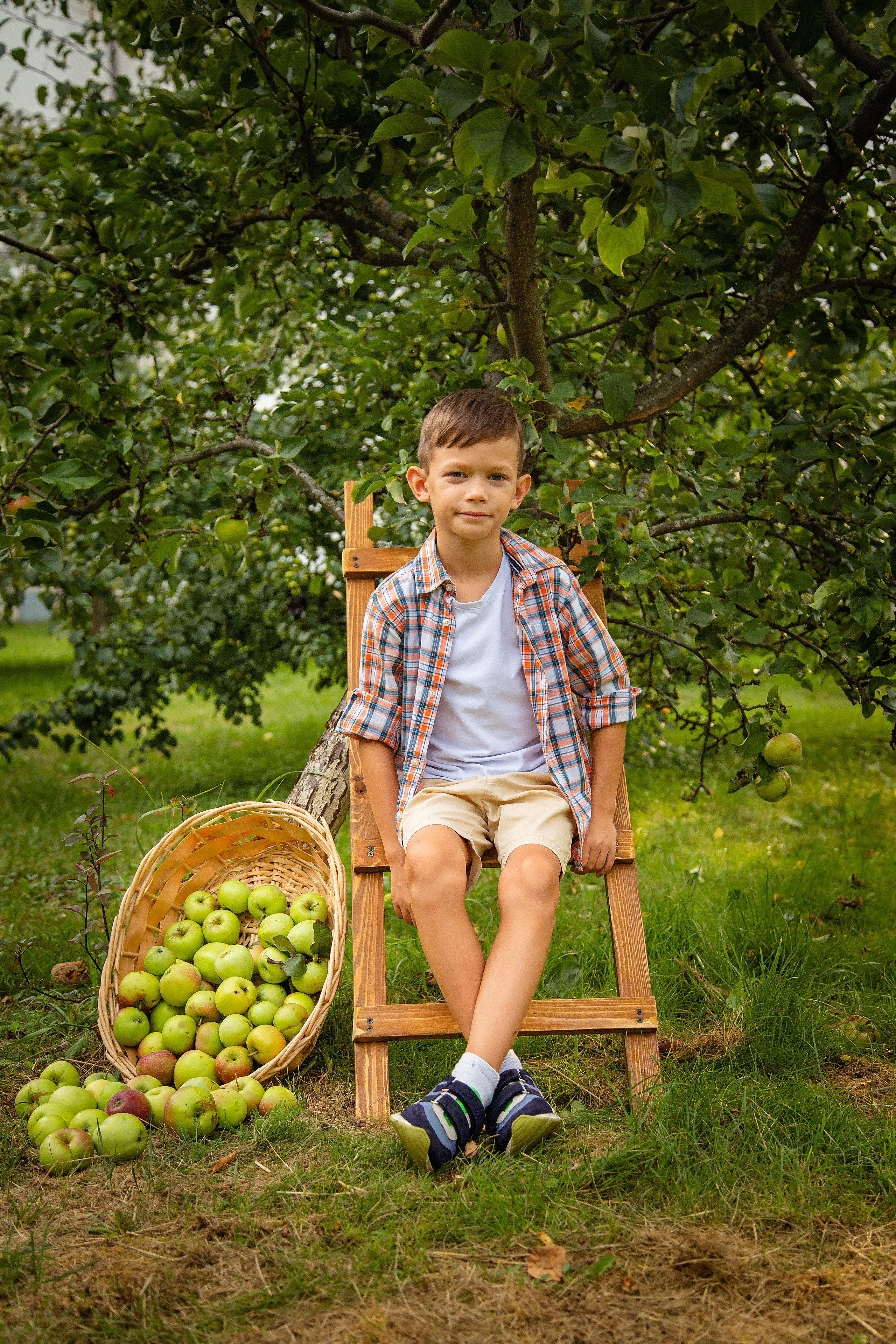 Яблоневый сад. Фотограф Дмитров. Москва