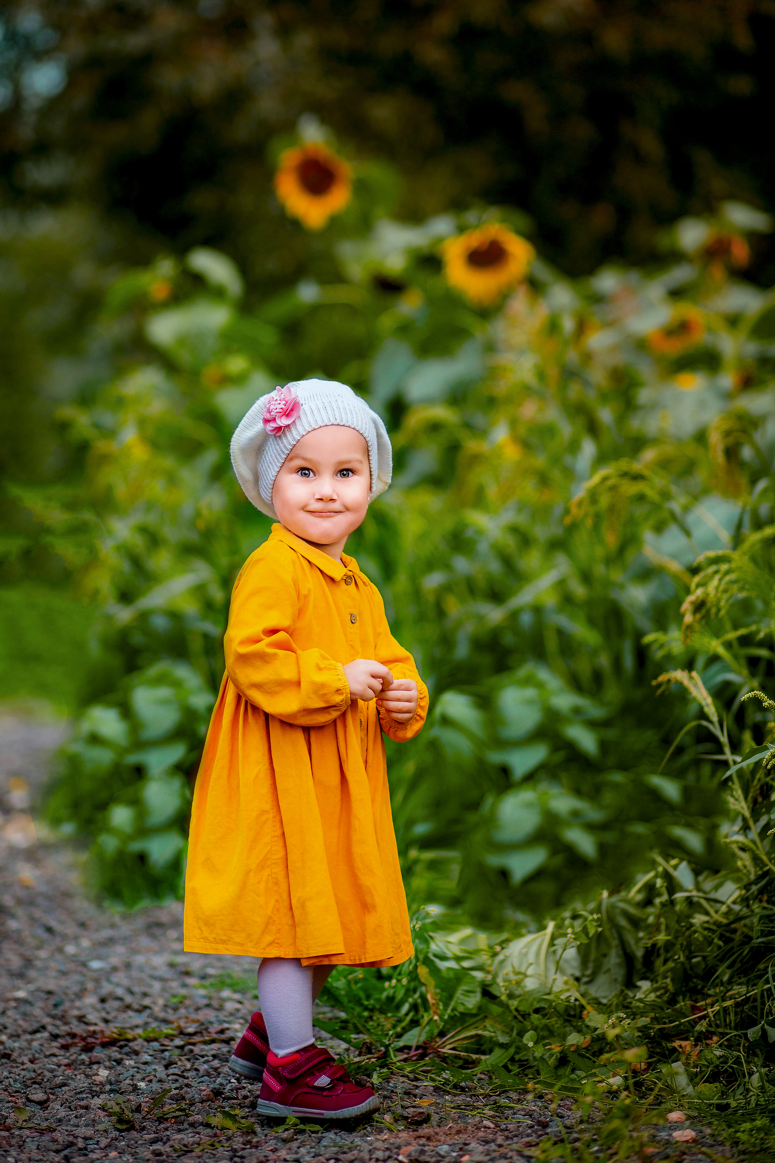 Осень золотая. Фотограф Дмитров. Москва