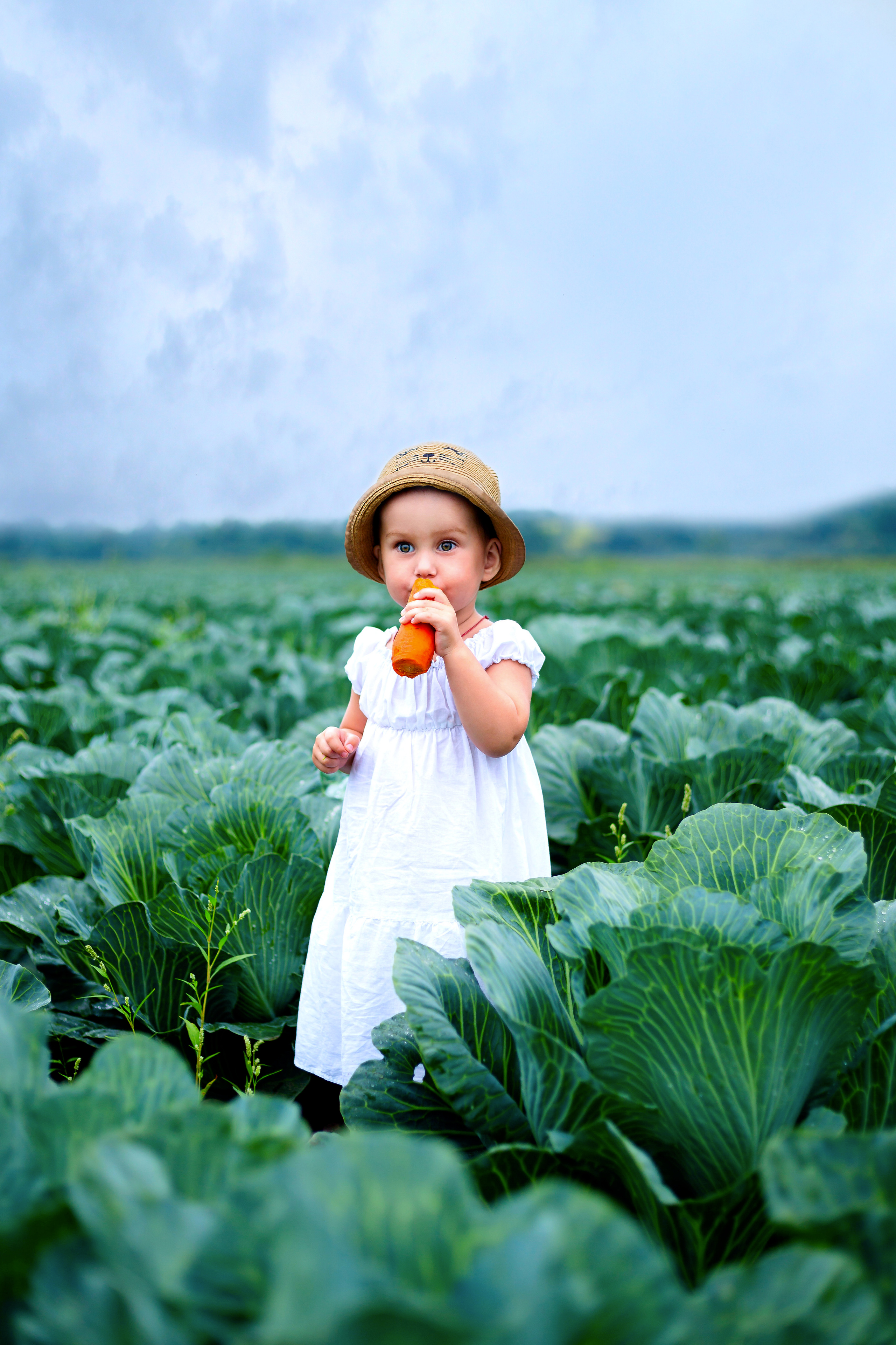 Дети в капустном поле. Фотограф Дмитров. Москва