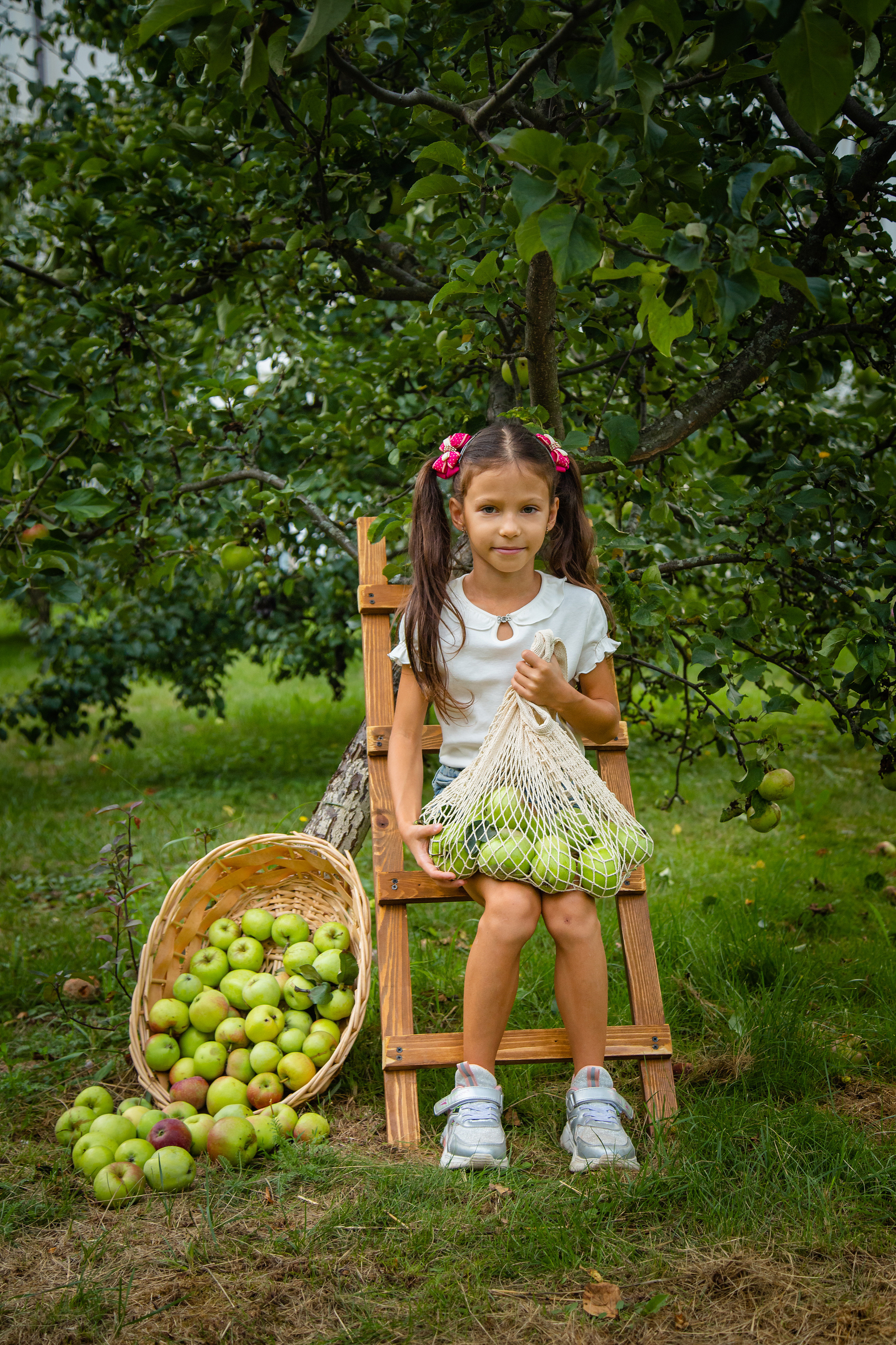 Яблоневый сад. Фотограф Дмитров. Москва