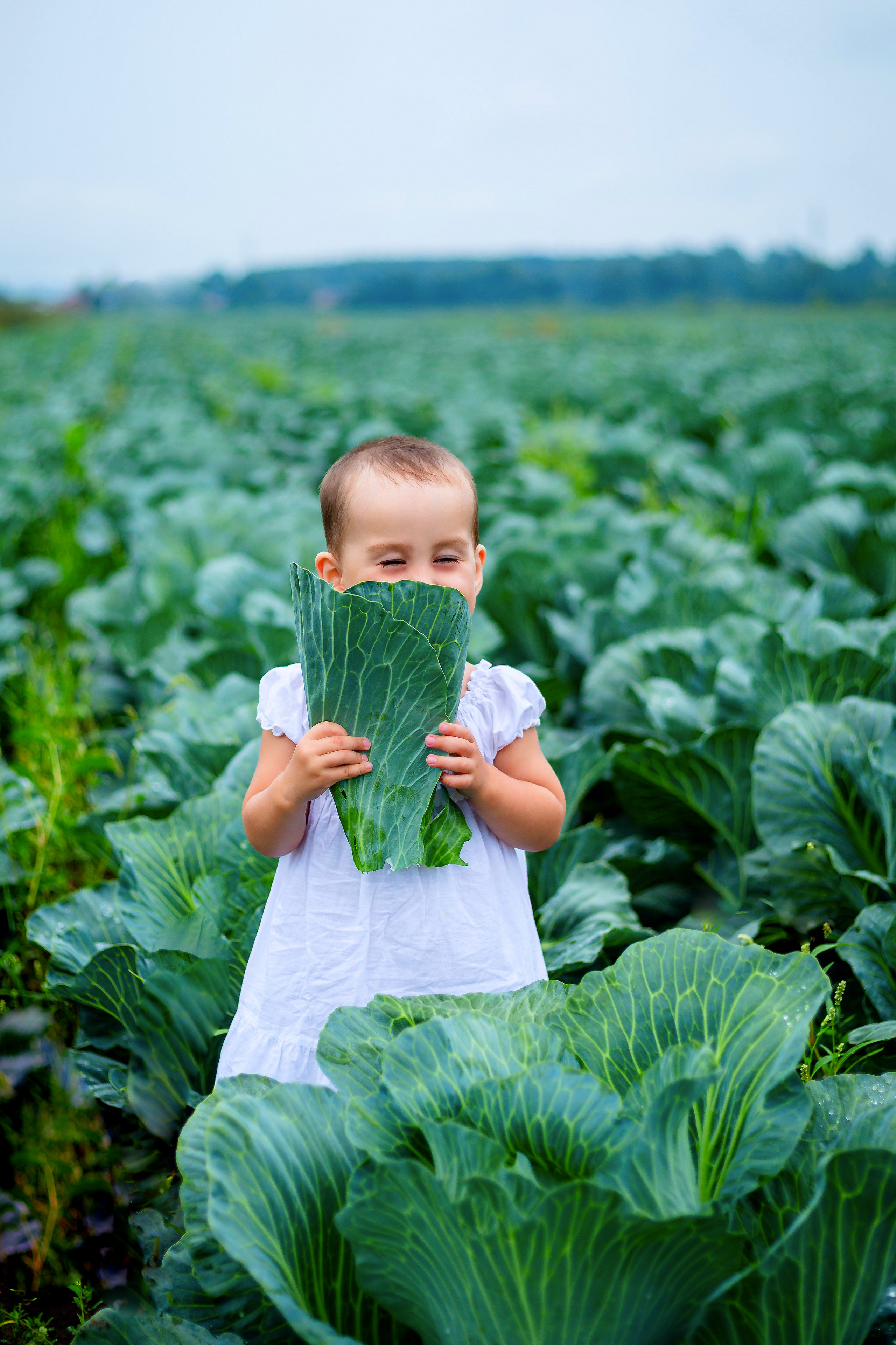 Дети в капустном поле. Фотограф Дмитров. Москва