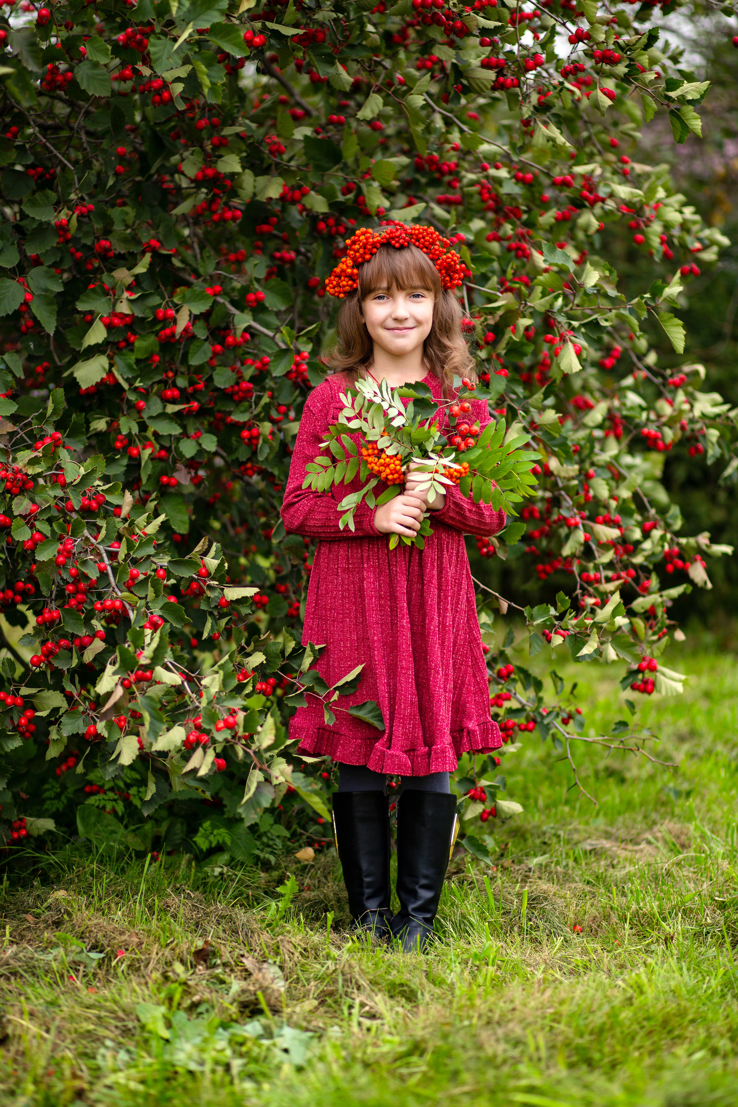 Рябина. Фотограф Дмитров. Москва