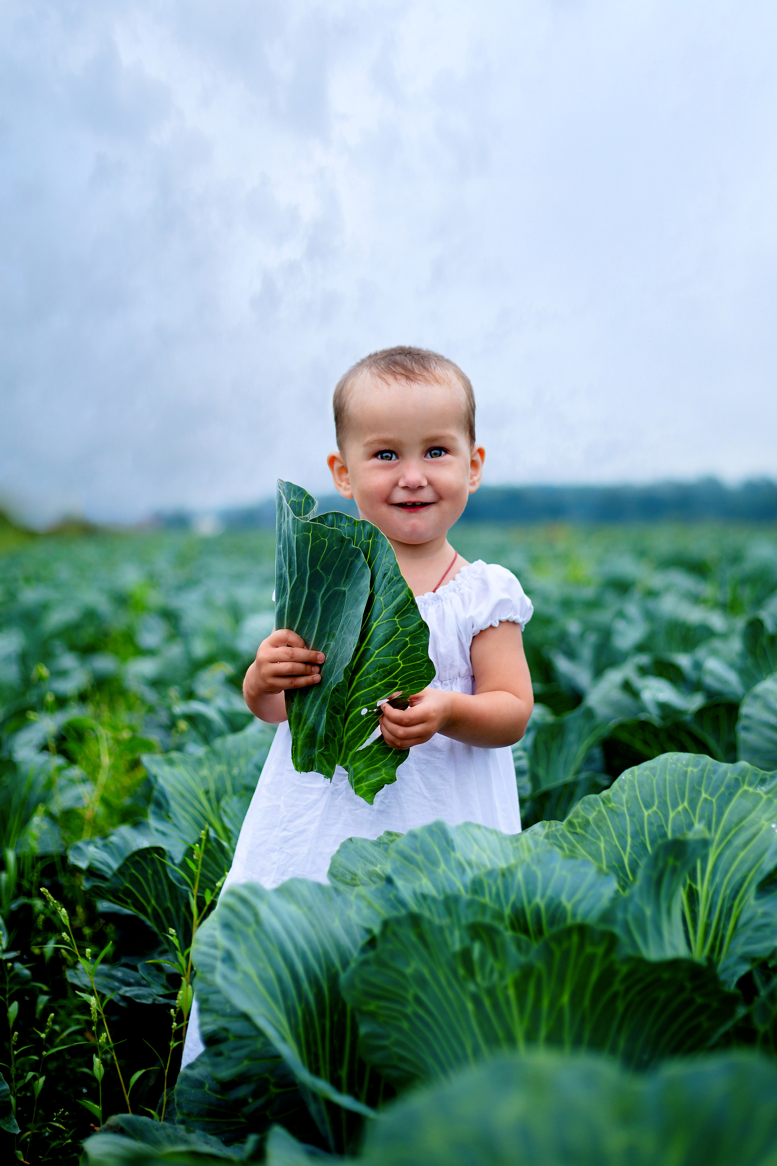 Дети в капустном поле. Фотограф Дмитров. Москва