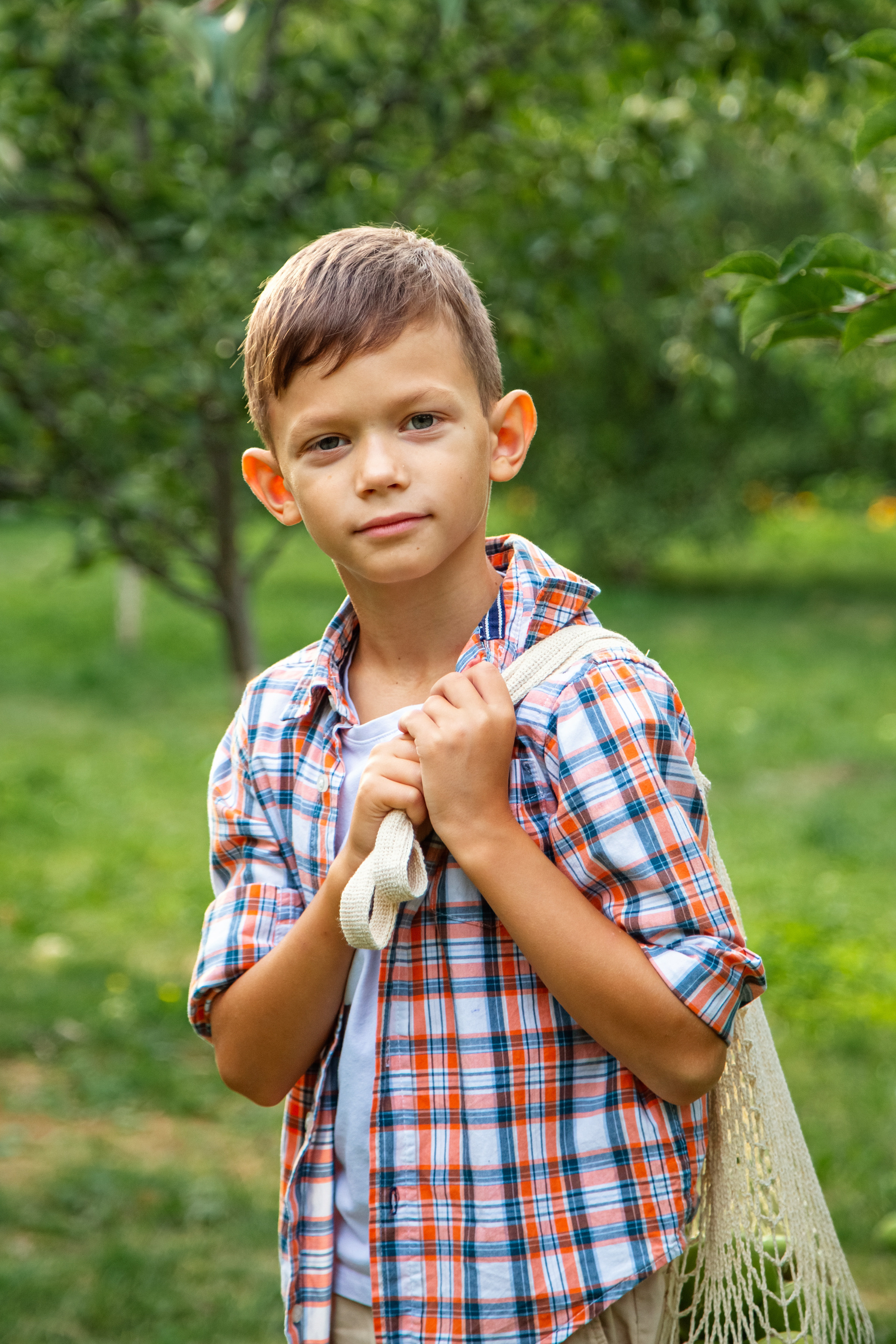 Яблоневый сад. Фотограф Дмитров. Москва
