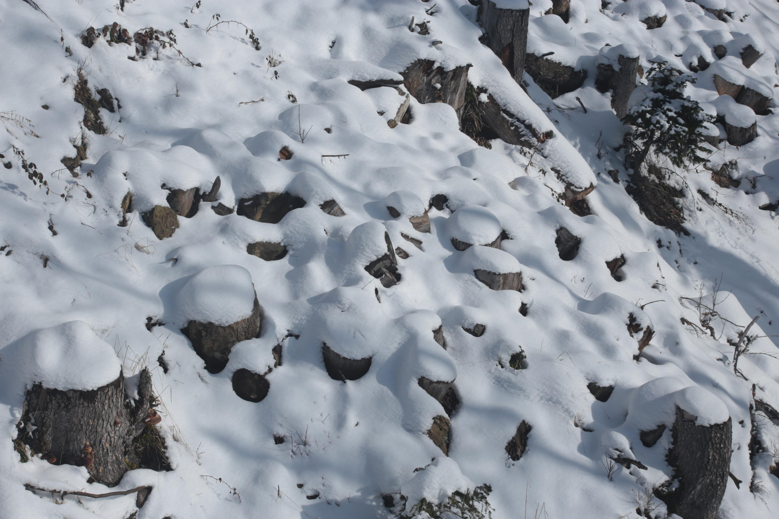 Красная поляна. Сочи. Репортажный фотограф Антон Лаврененков