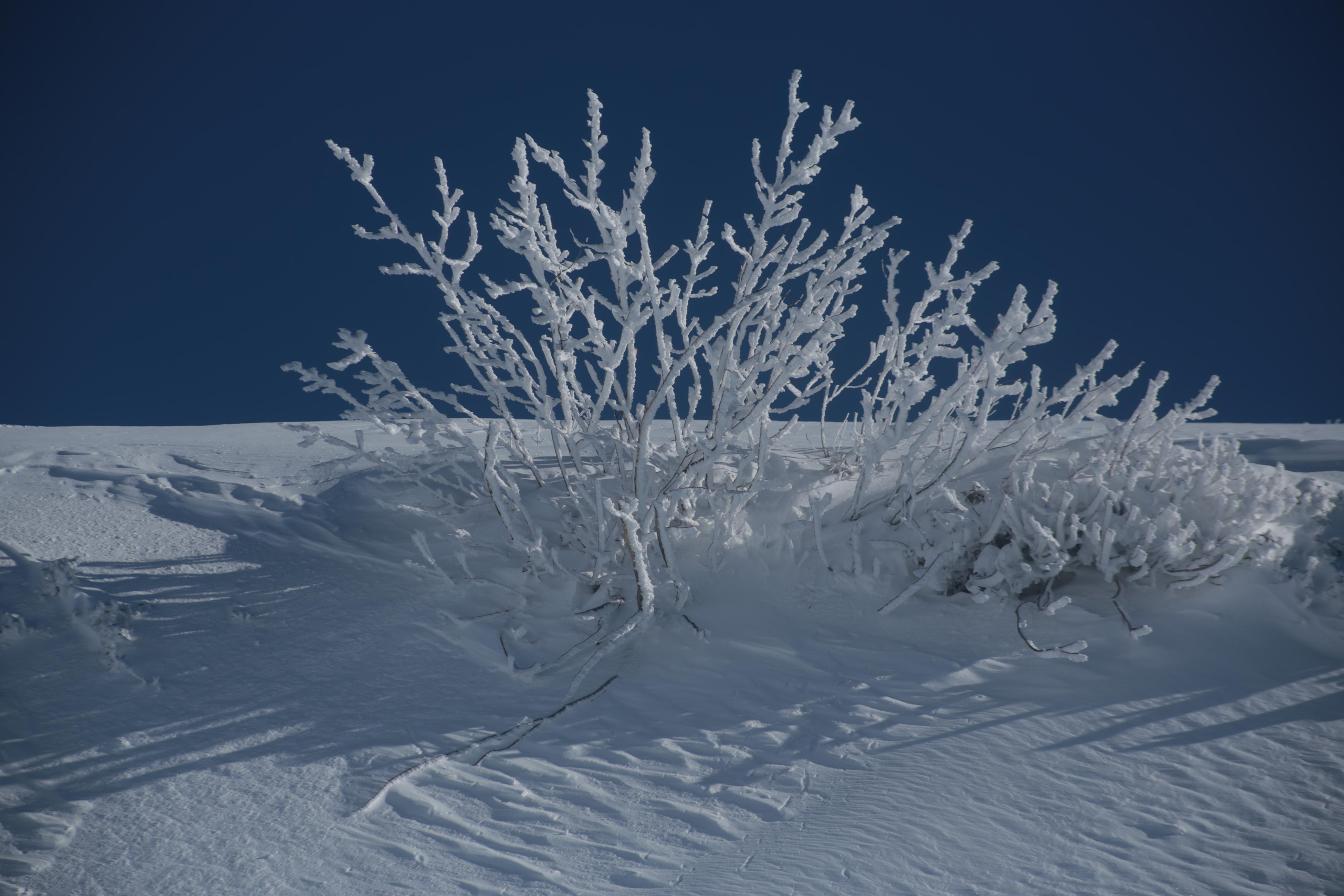 Красная поляна. Сочи. Репортажный фотограф Антон Лаврененков