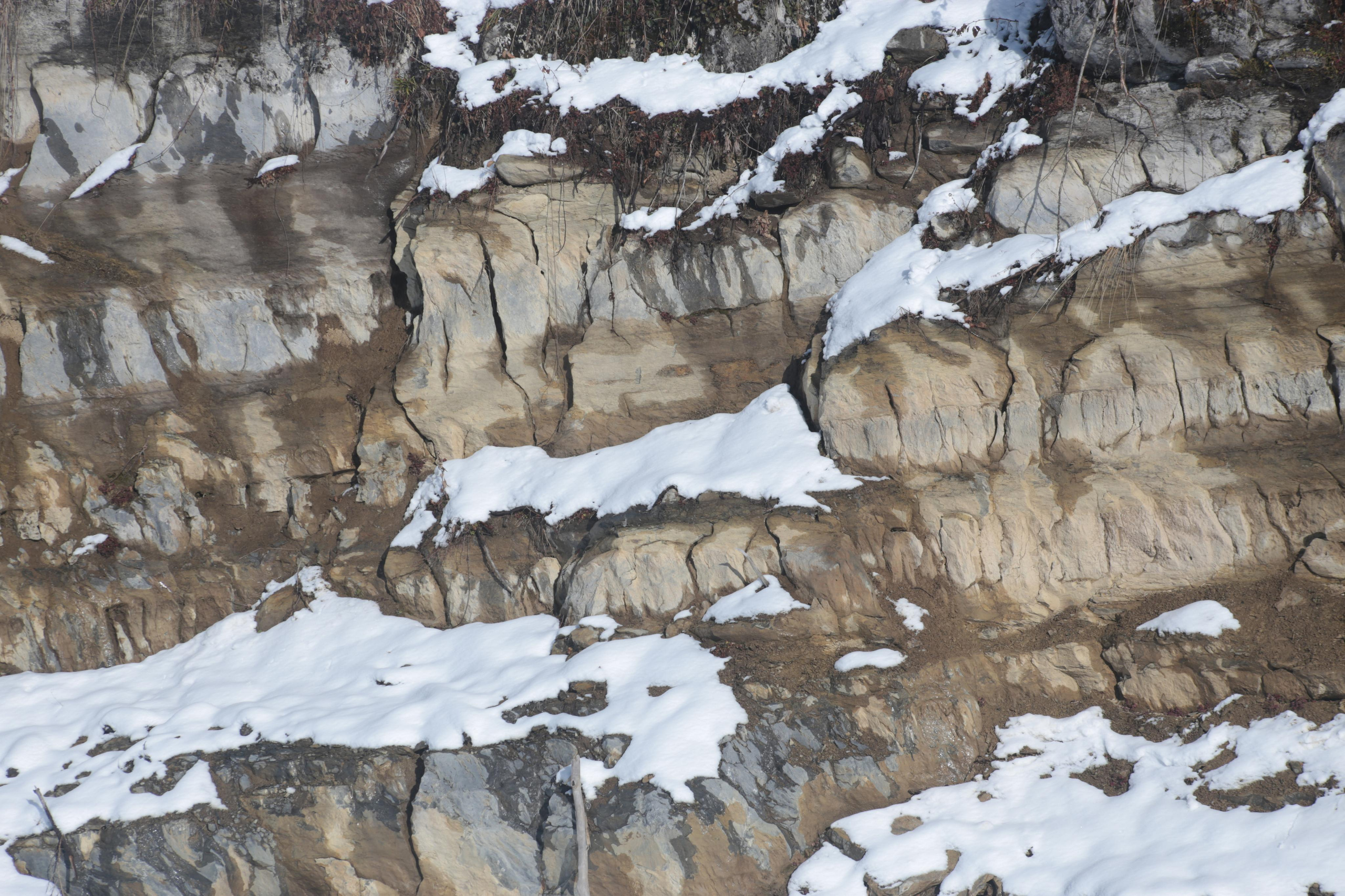 Красная поляна. Сочи. Репортажный фотограф Антон Лаврененков