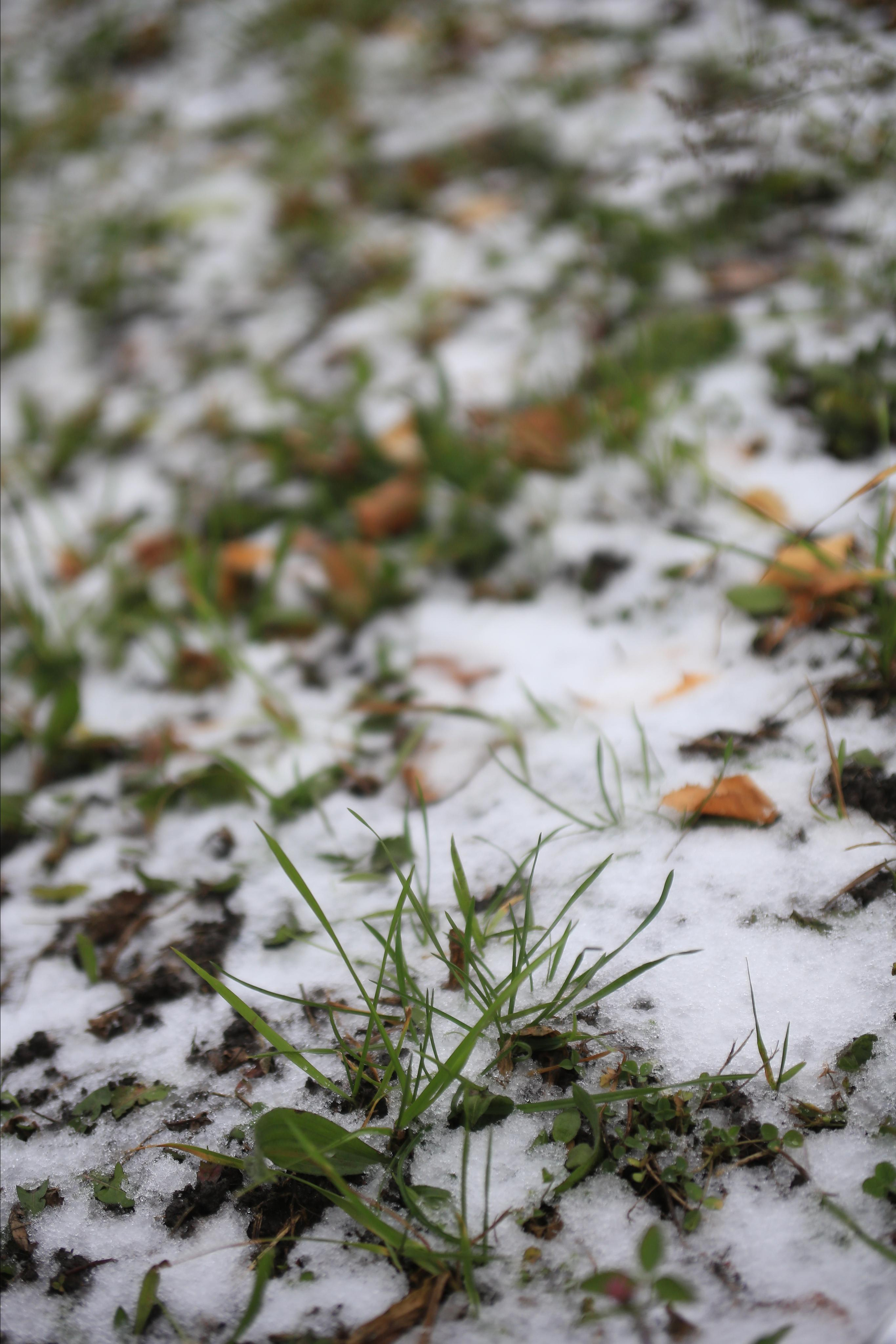 Чертовщина всякая. Репортажный фотограф Антон Лаврененков