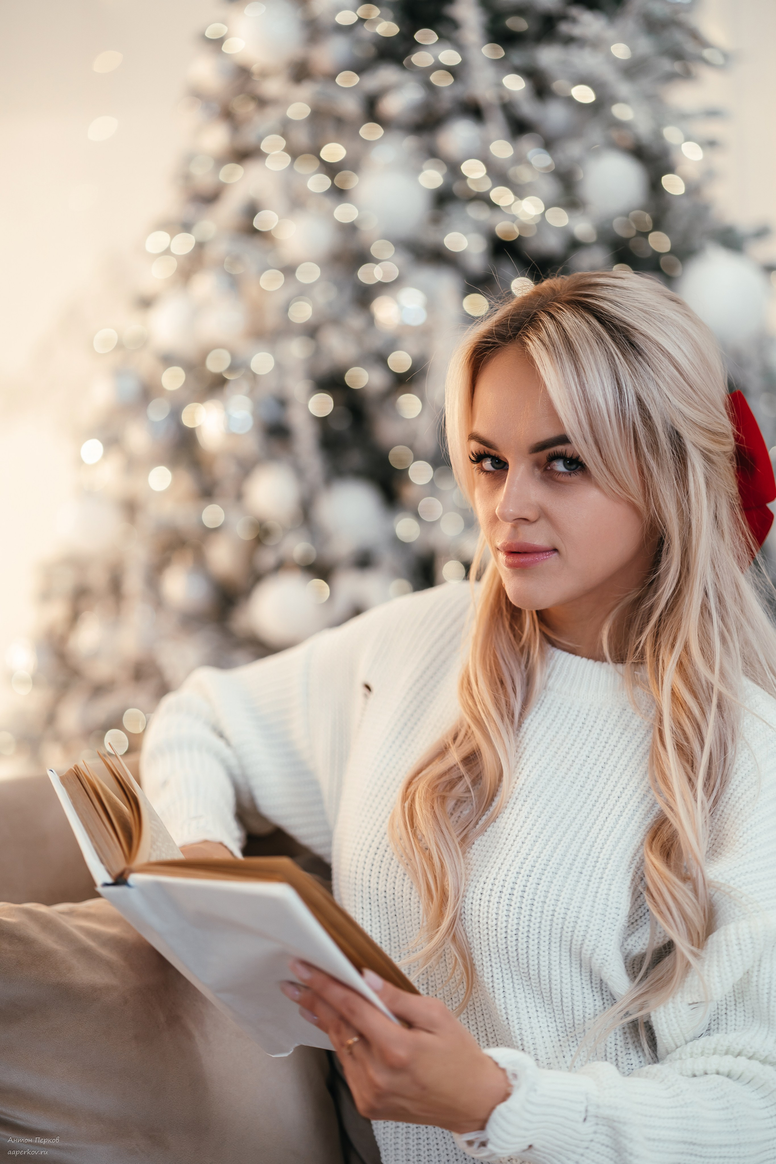 Новогодняя сказка. Фотограф Антон Перков