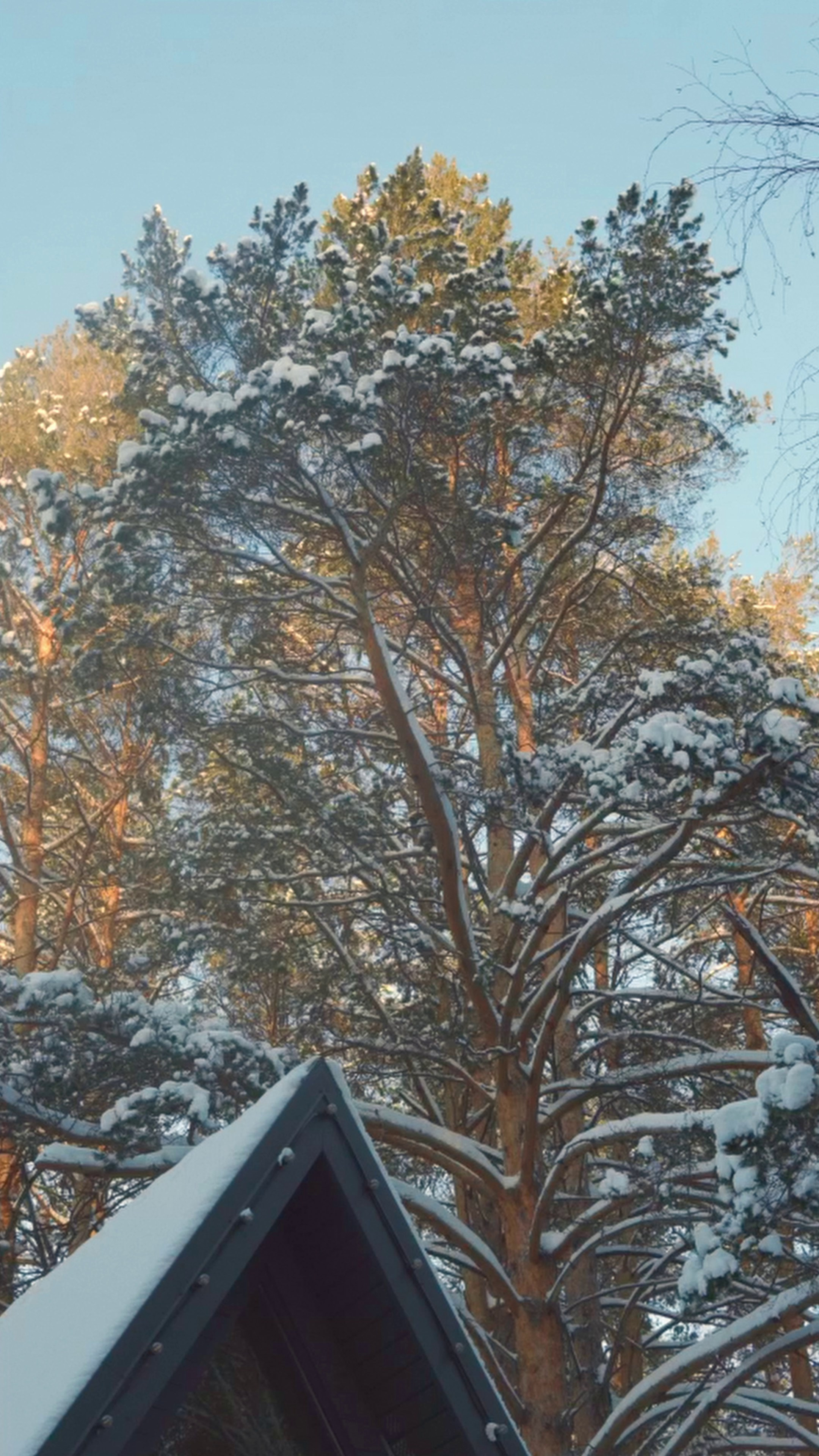 Бренды, люди, события — видеосъёмка для бизнеса | Екатеринбург