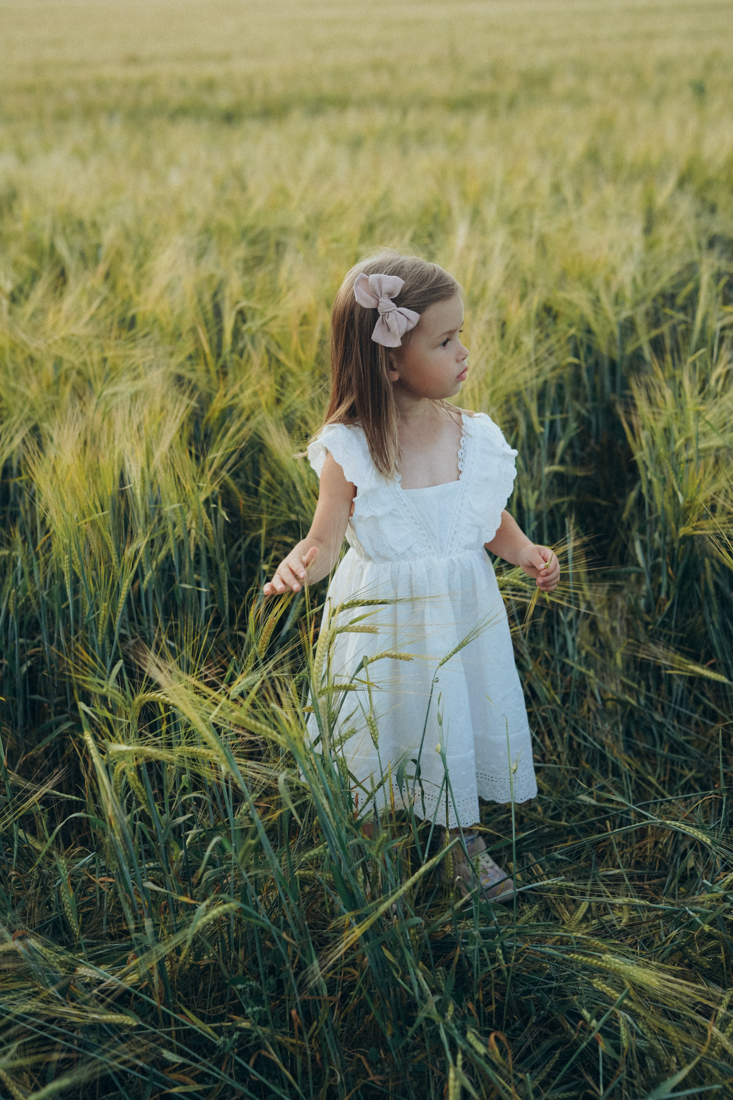Пшеничное поле. Семейный и женский фотограф в Санкт-Петербурге Татьяна Стружкина